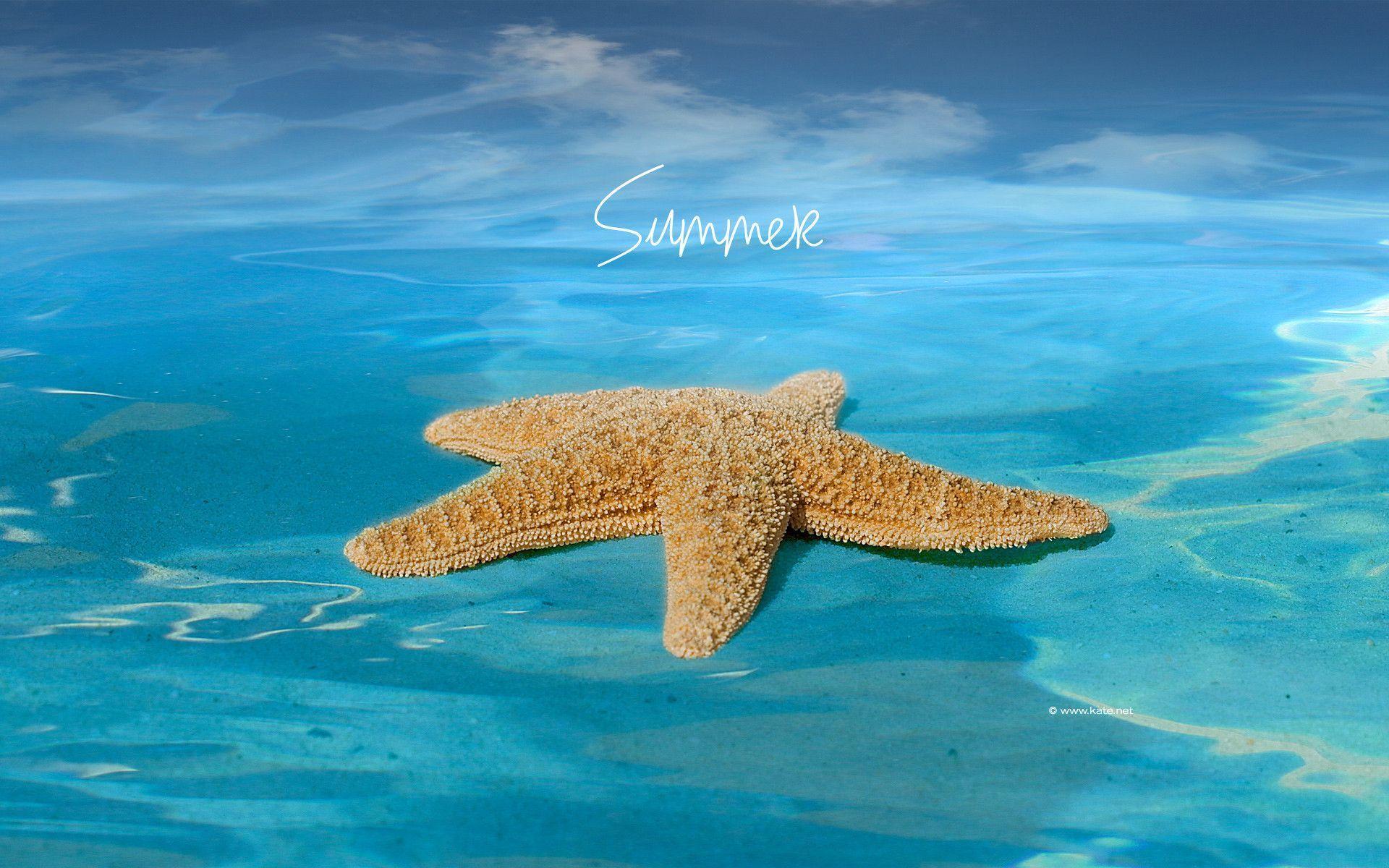 Summer Wallpapers 2012