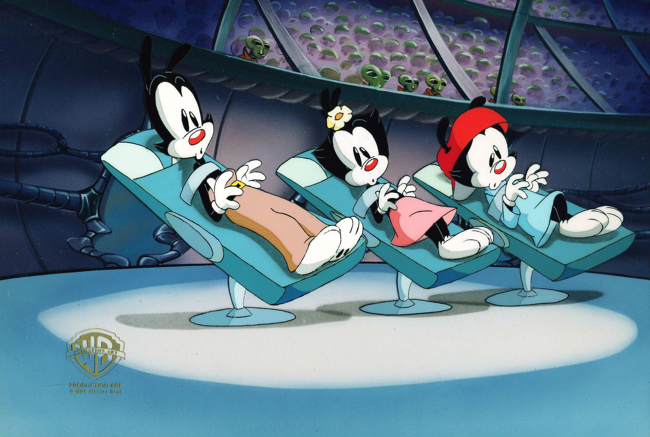 animaniacs wallpapers