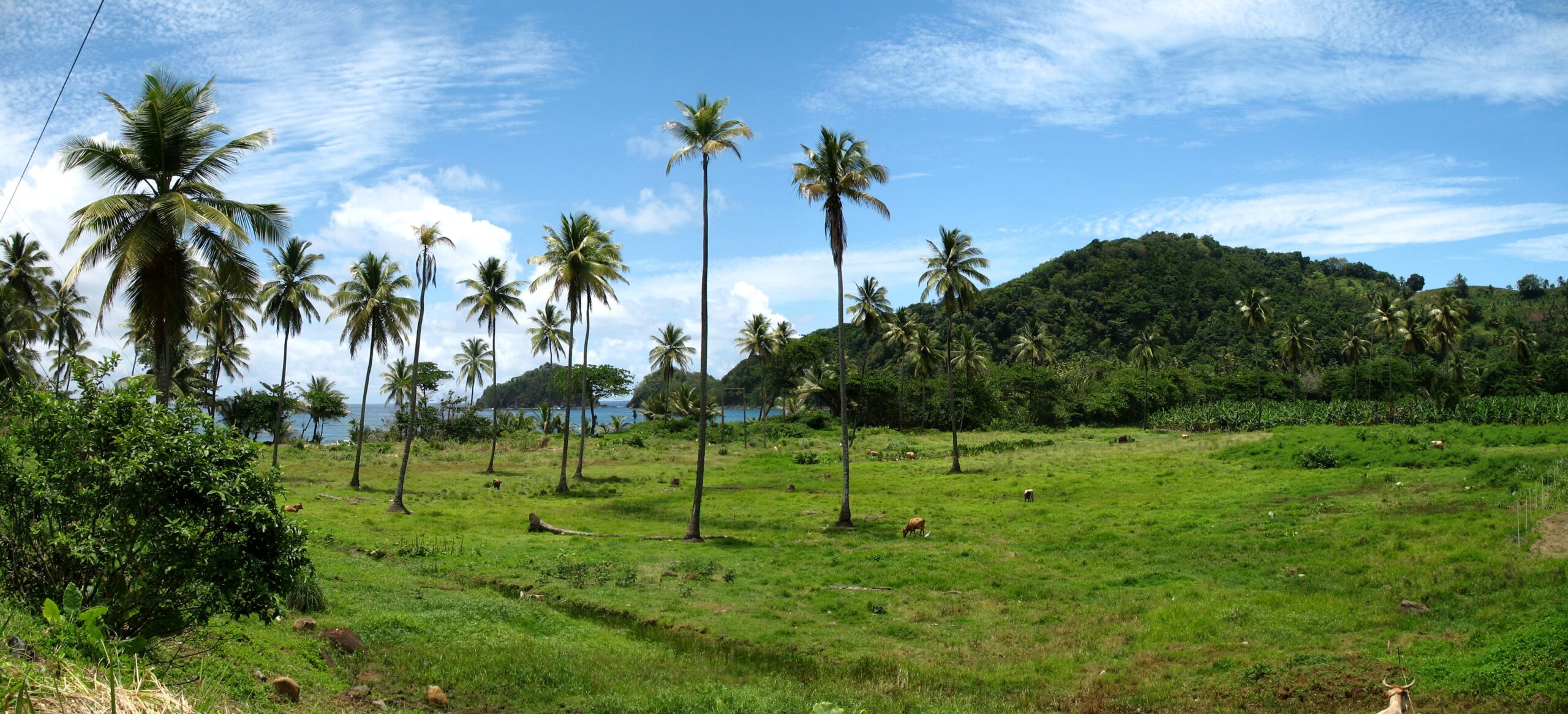 Sierra Leone, uniqueness at it’s finest.