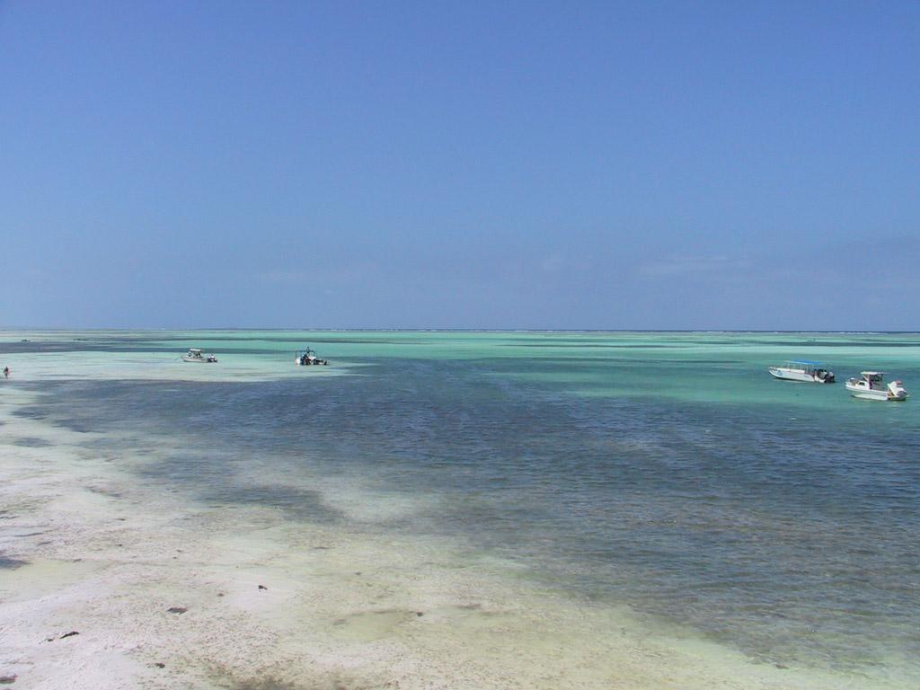 Desktop wallpapers: sea: Zanzibar