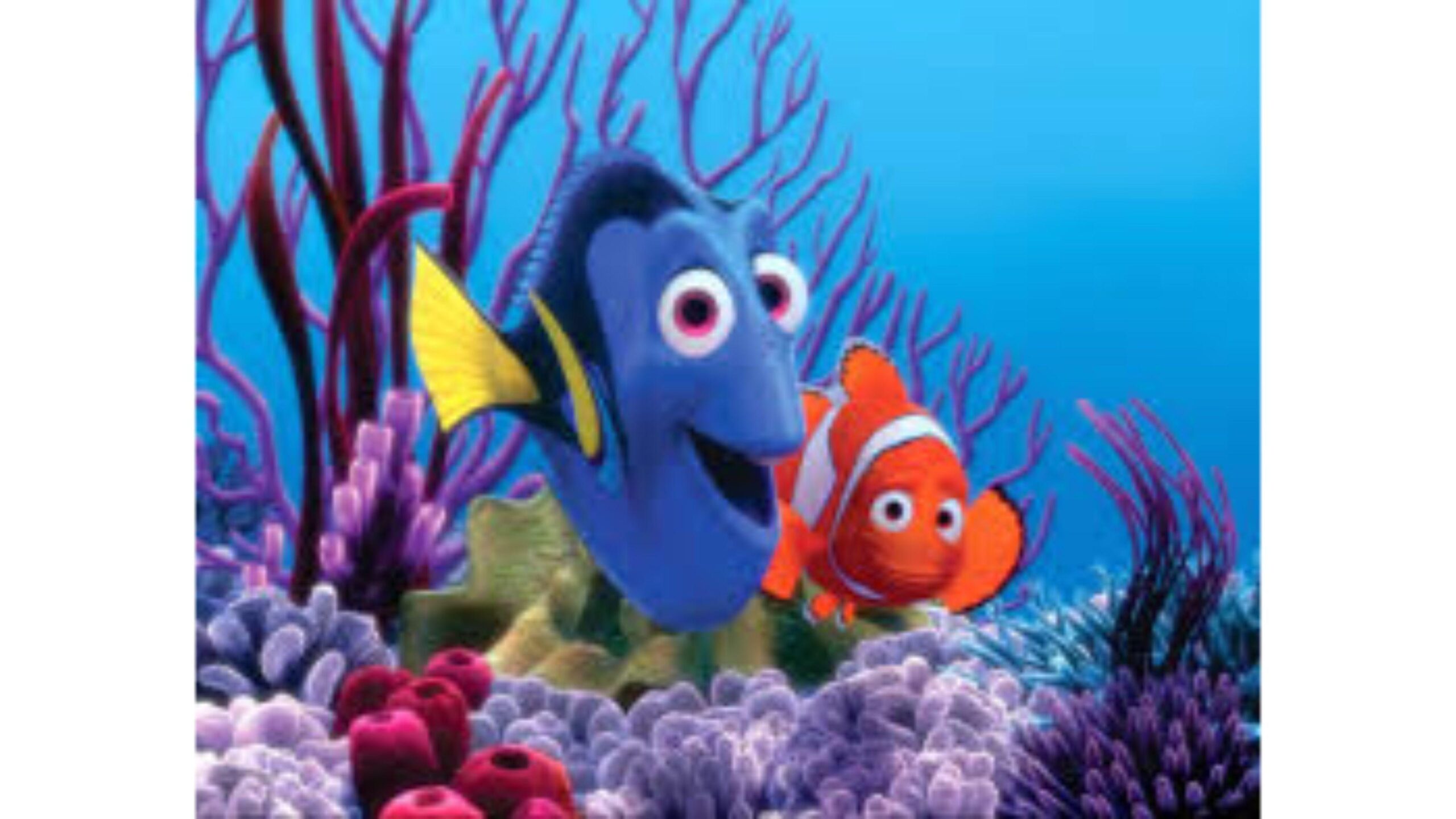 Finding Dory 2016 wallpapers – wallpapers free download