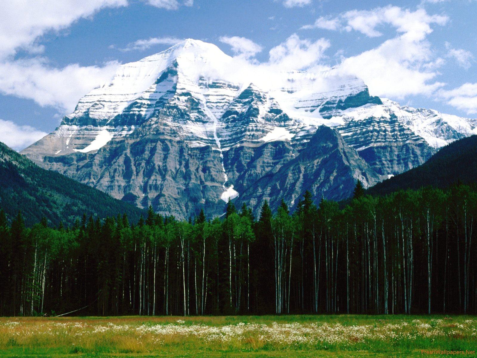 Mt. Robson, Canadian Rockies wallpapers