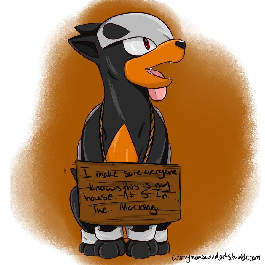 Houndour Pokemon Shaming by anonymouswind