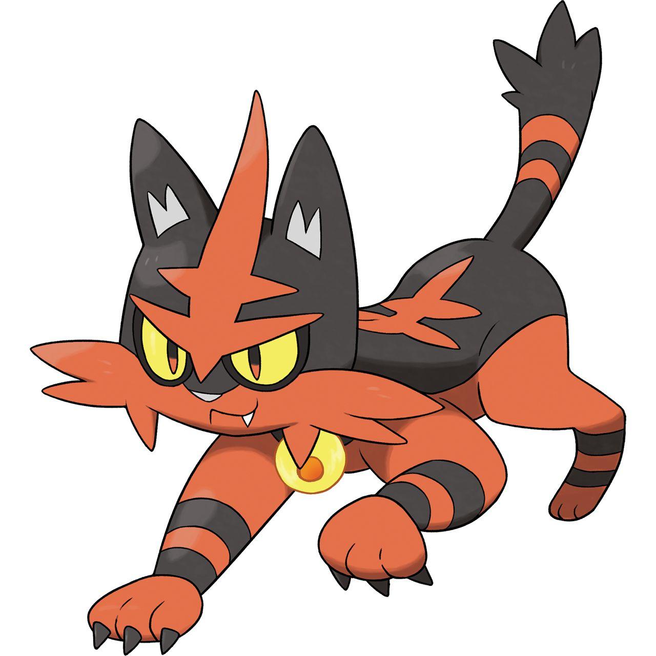 Torracat