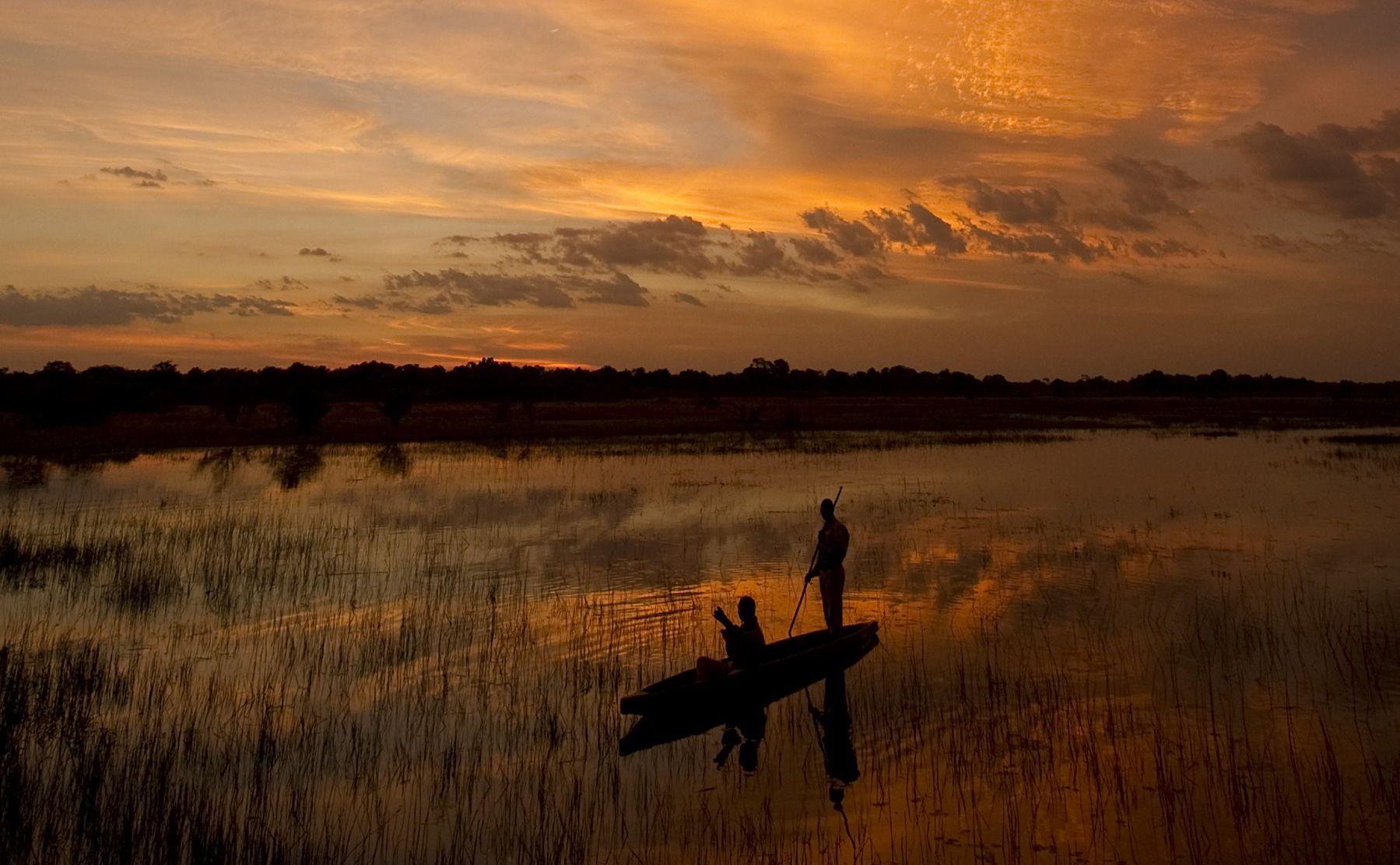 botswana safari sunset