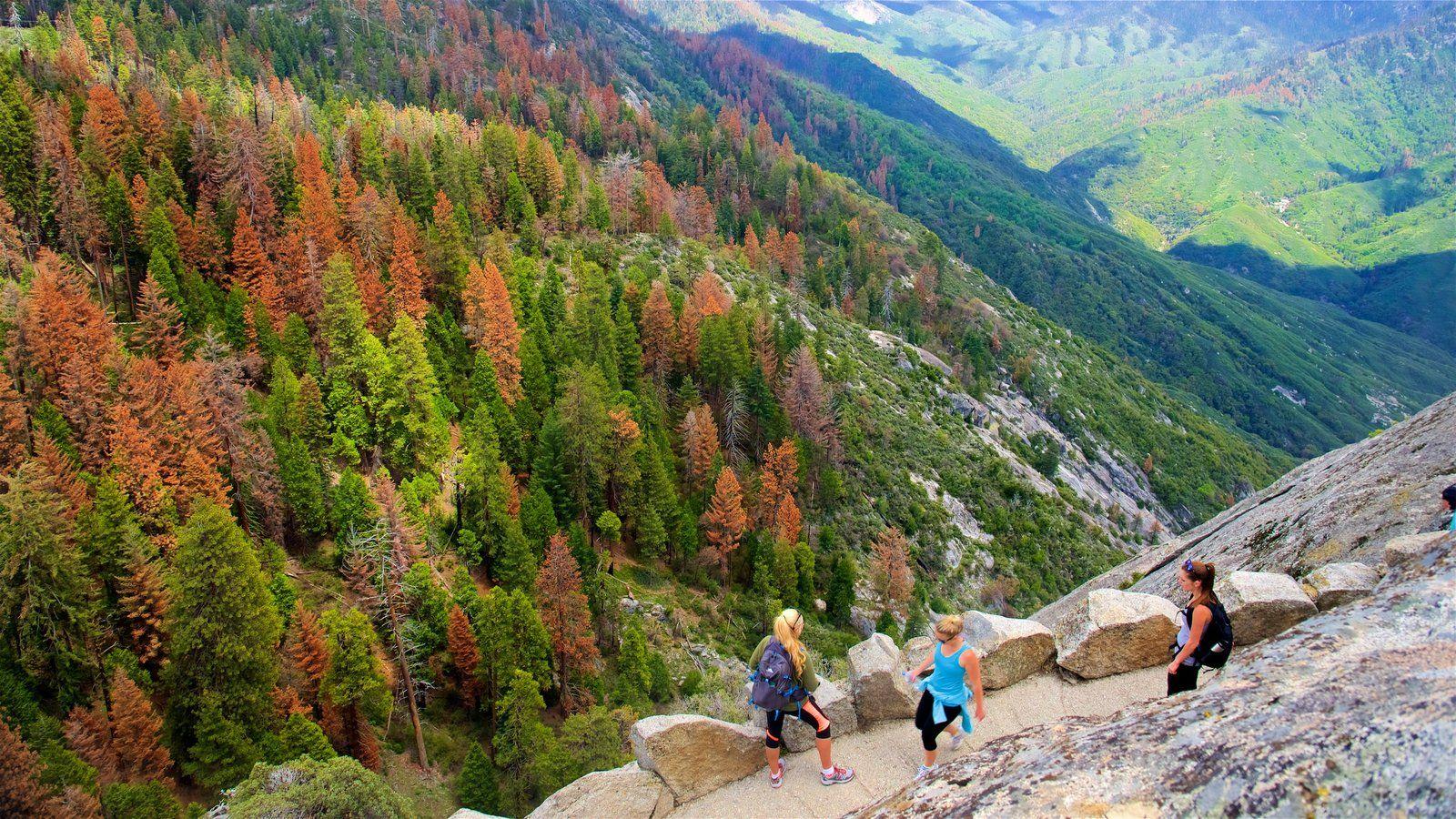 Fall Pictures: View Image of Sequoia and Kings Canyon National Parks