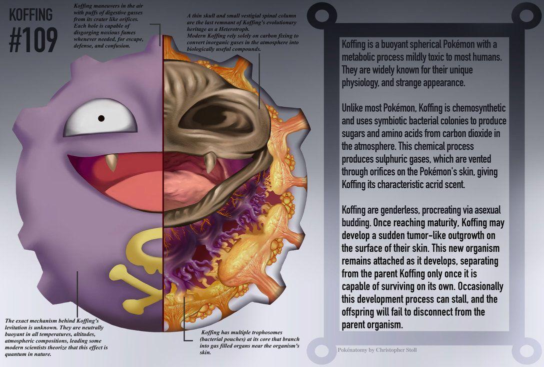 Koffing Anatomy