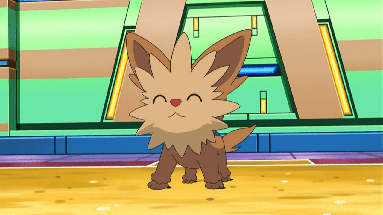 The Lillipup Evolutions image lenora’s lillipup HD wallpapers and