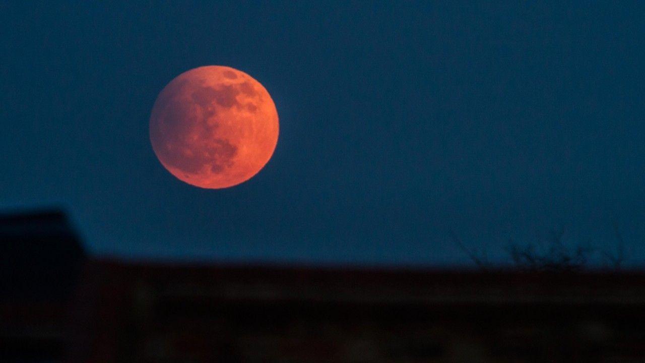 Blood Moon Photo