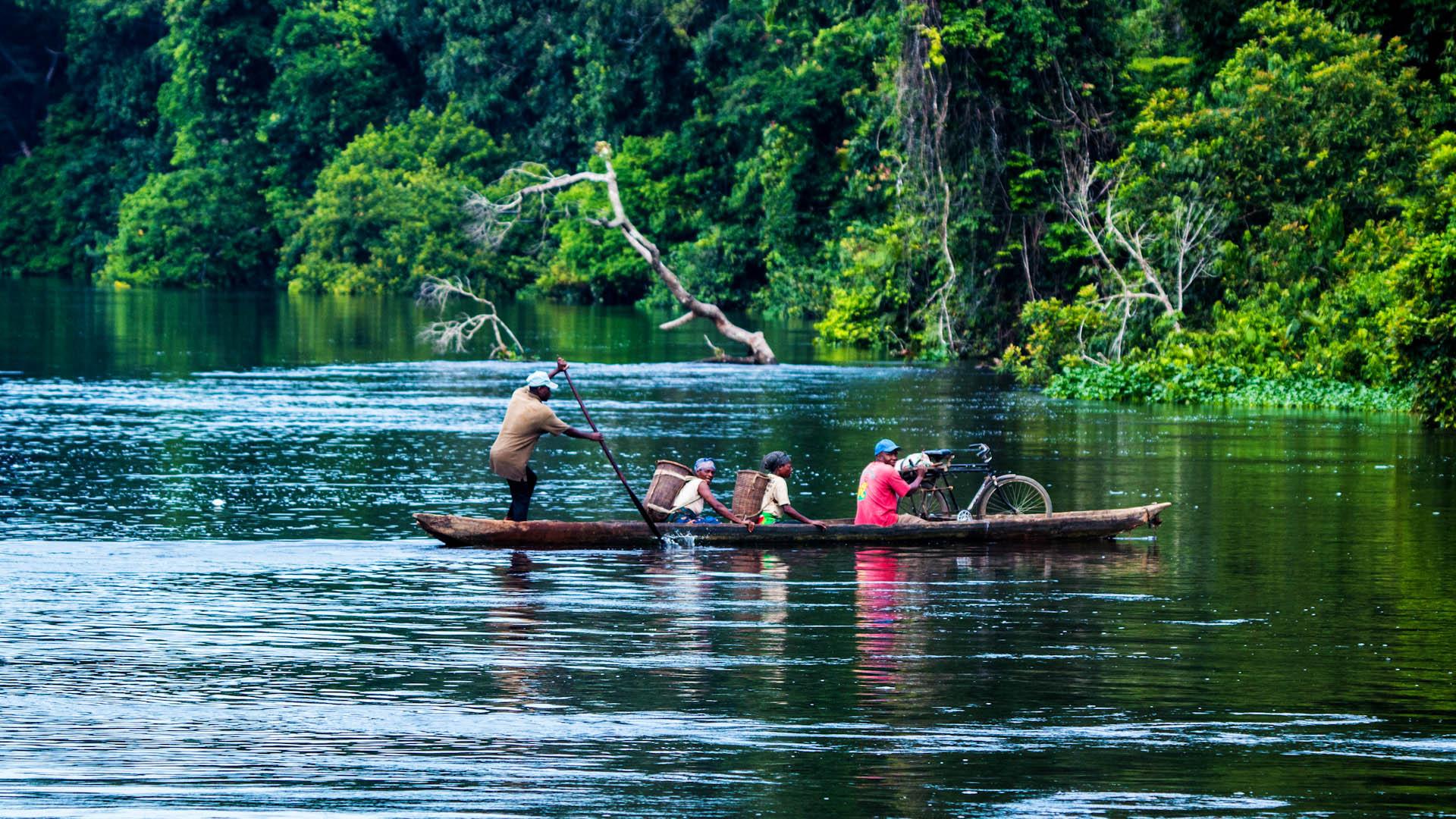 When to go to the Republic of Congo on Safari