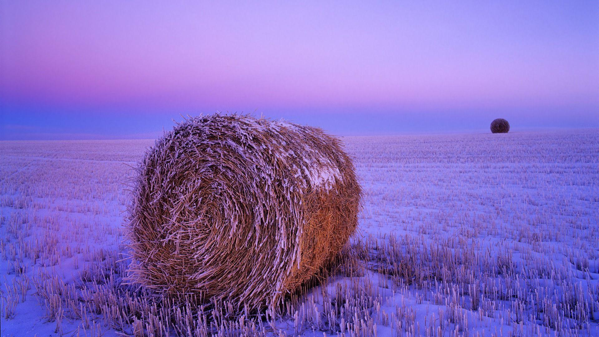 Snowy Haystack North Dakota Wallpapers · iBackgroundWallpapers