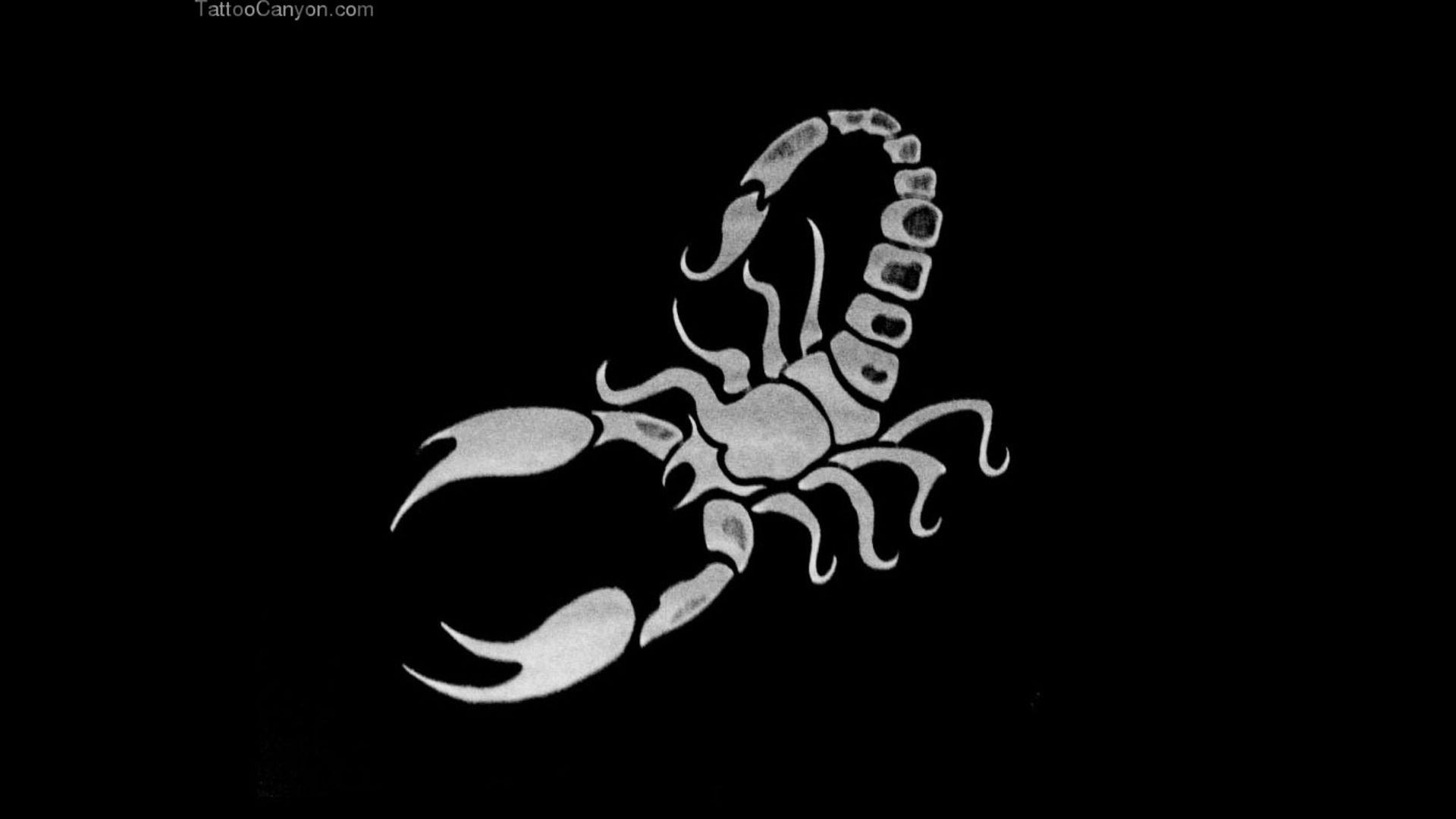 Scorpion wallpapers