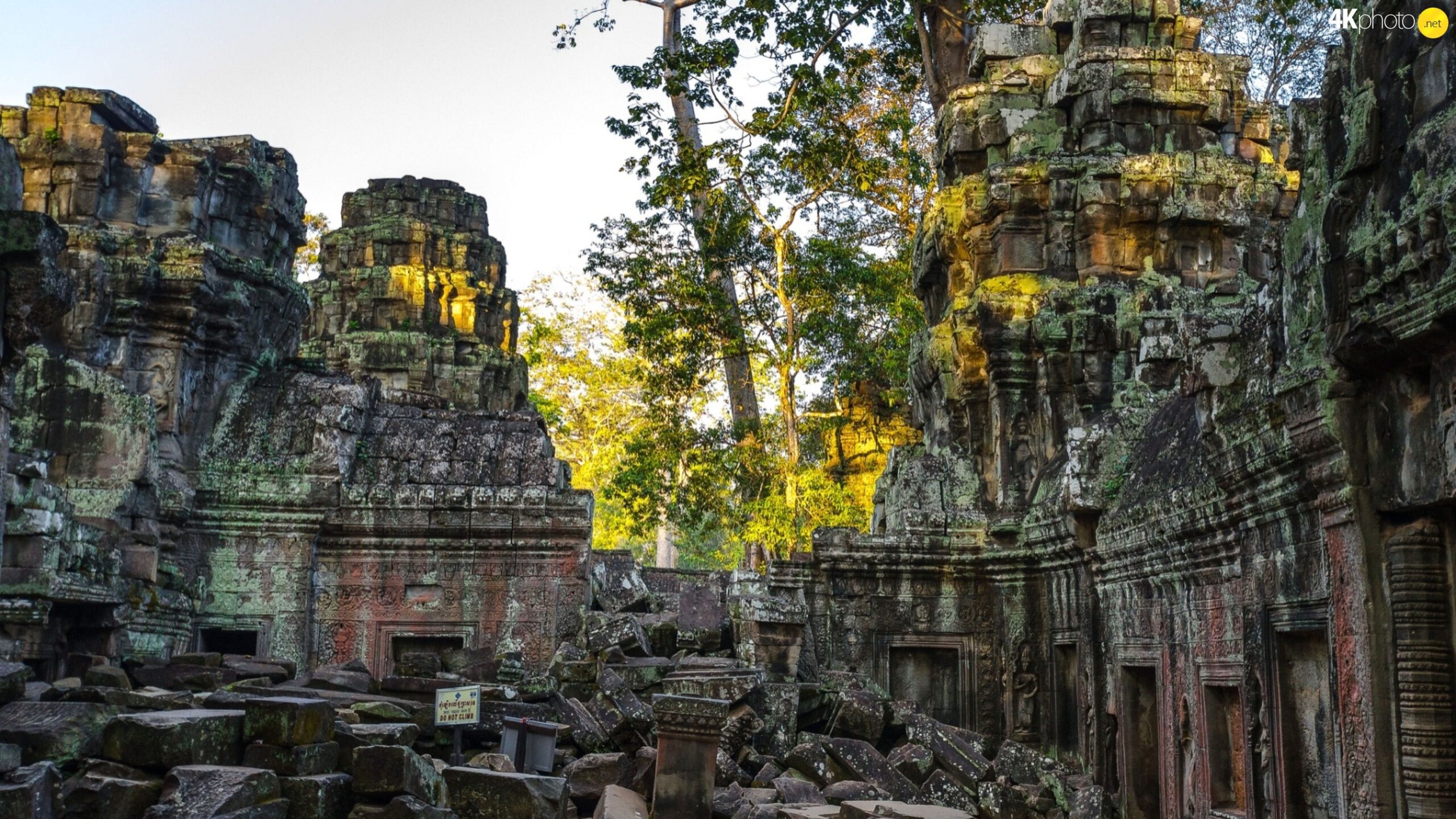 trees, temple, viewes, Angkor Wat, Cambodia, ruins