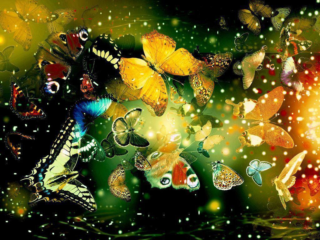 Best butterfly wallpapers free