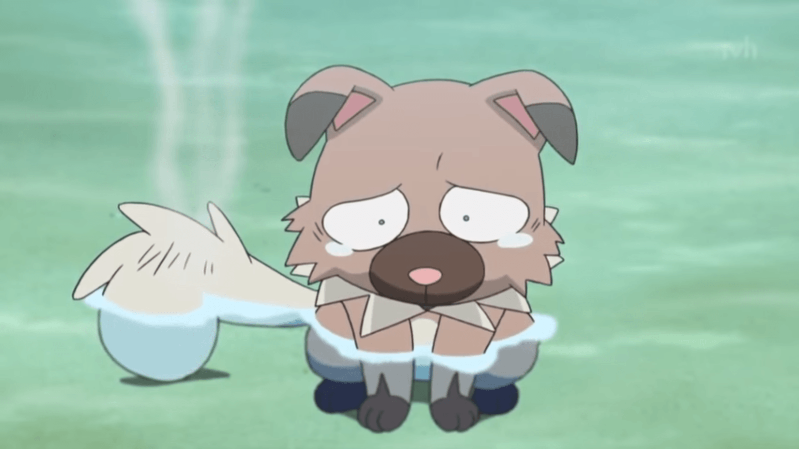 Rockruff