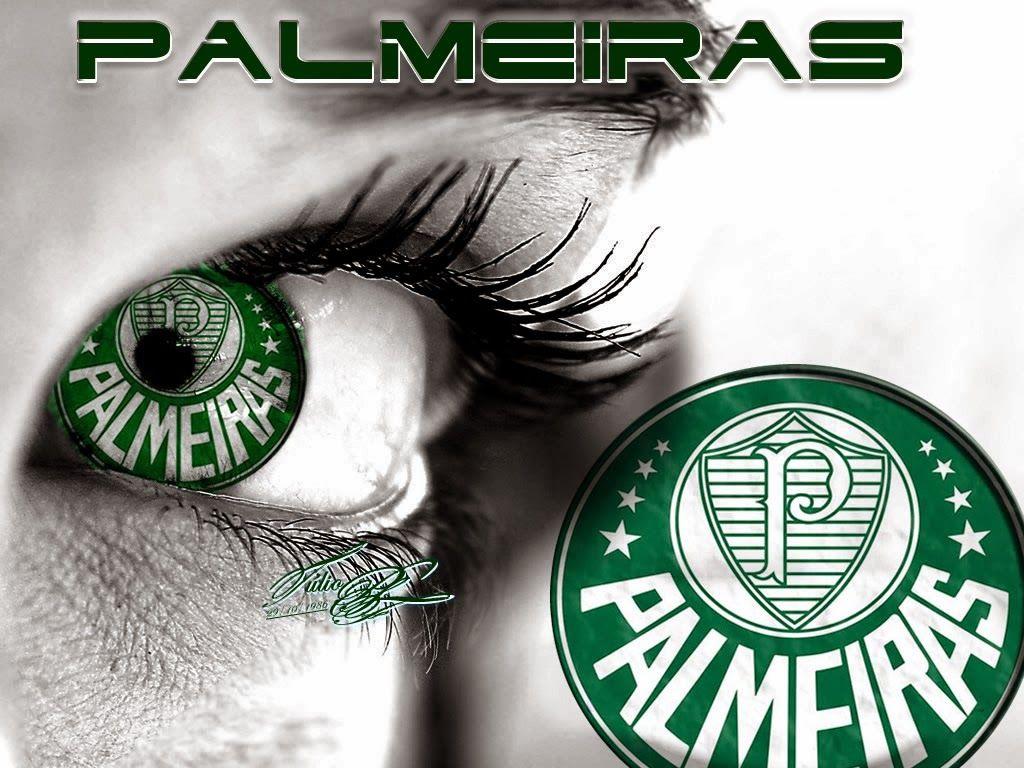 Palmeiras HD Wallpapers