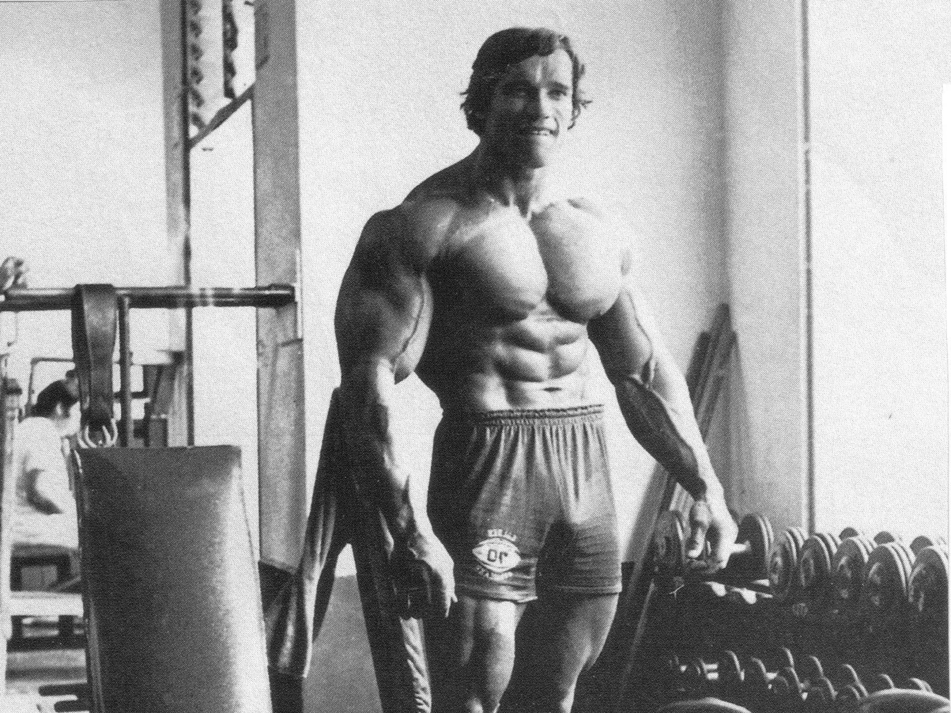 Arnold Schwarzenegger Wallpapers 11