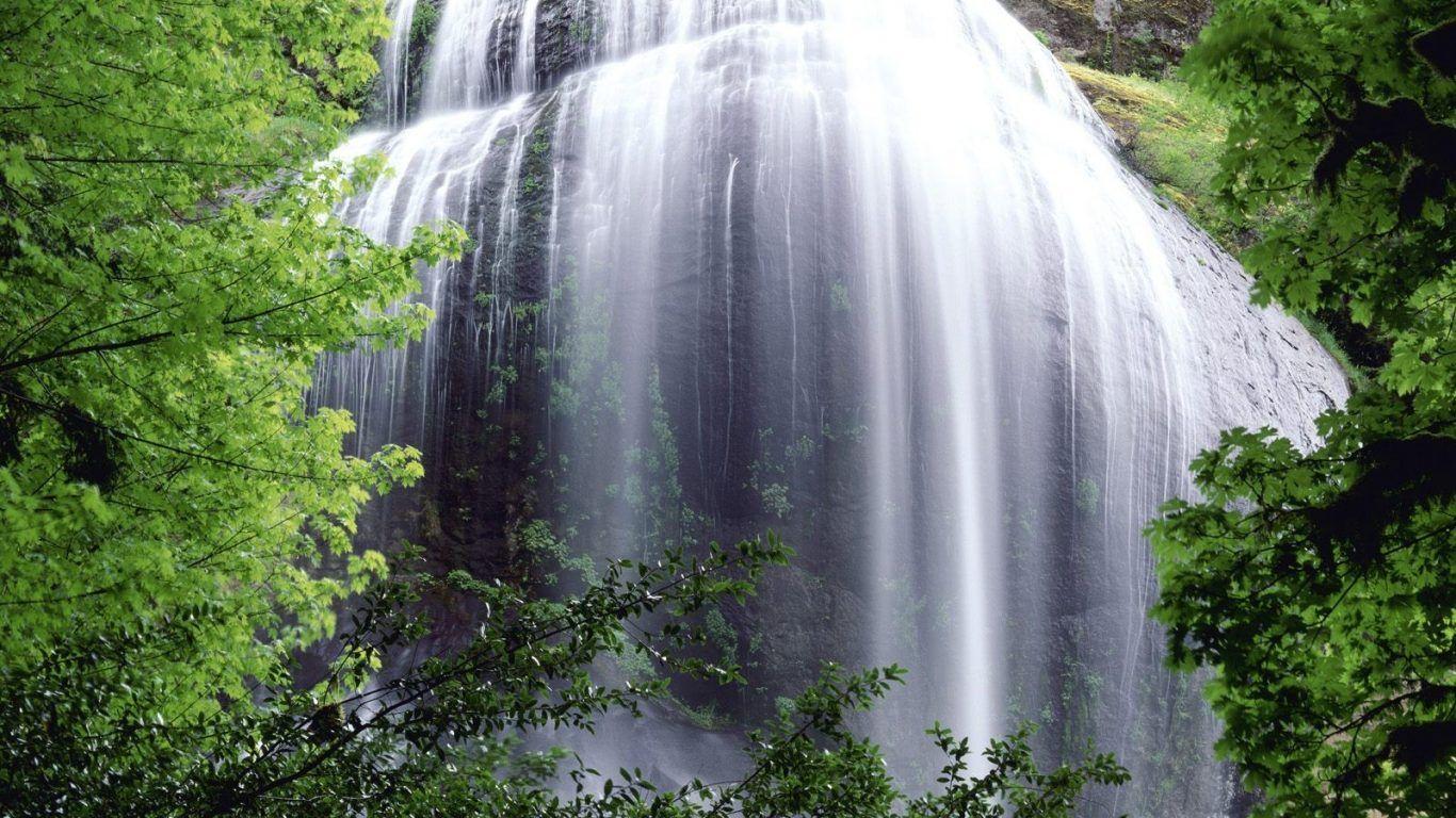 Beautiful Waterfall Greenery Serene Dominica Wallpapers Hd 1080p