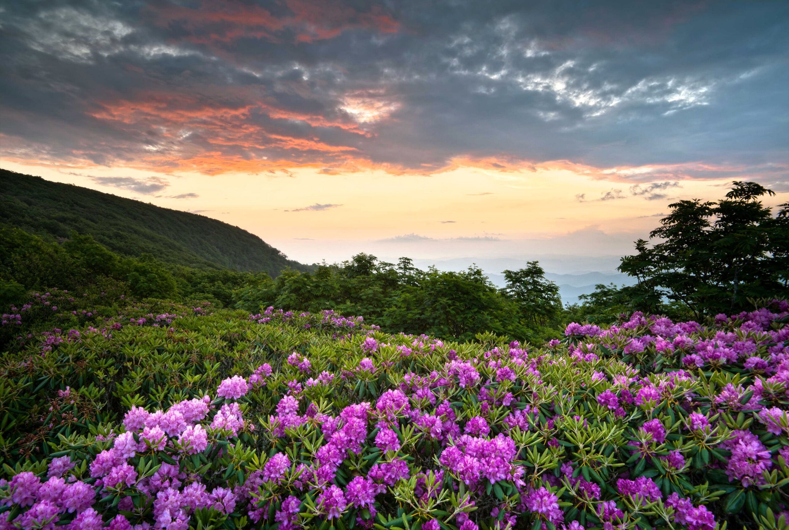 Download wallpapers usa, shenandoah, virginia, shenandoah national