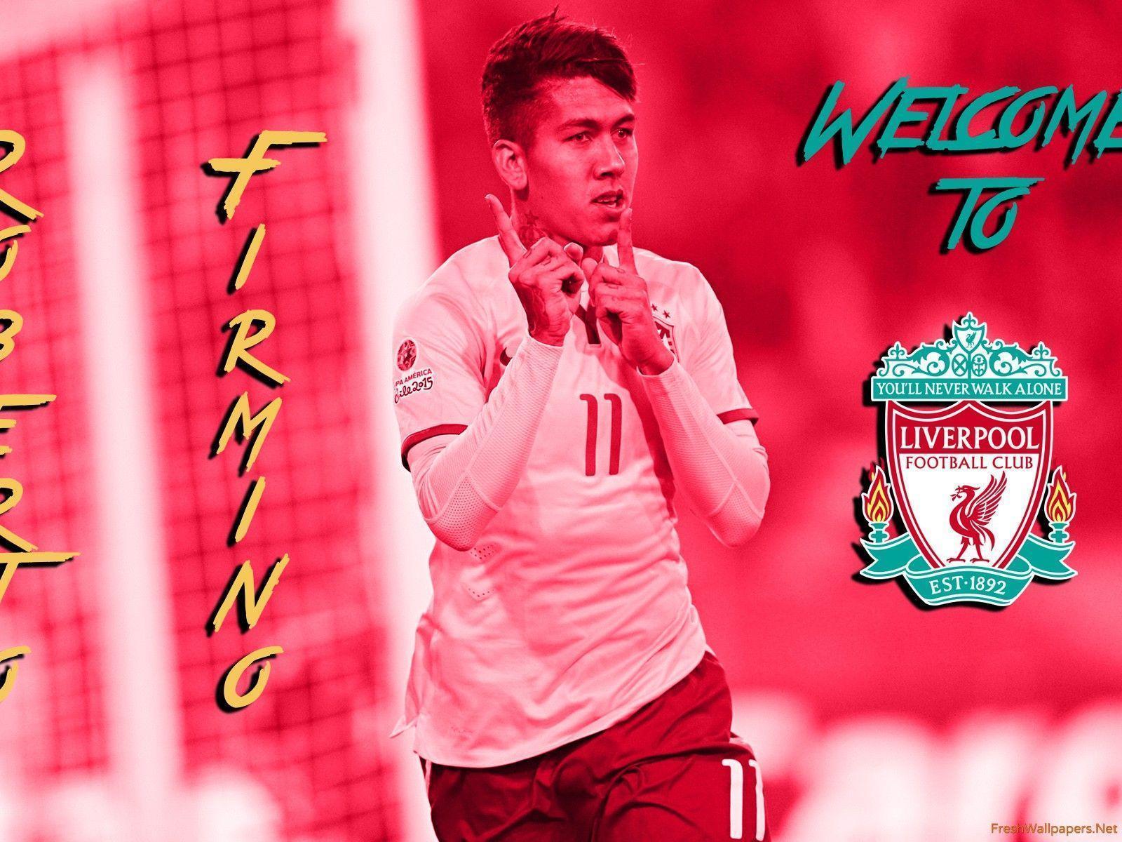 Roberto Firmino 2015 Welcome To Liverpool FC wallpapers