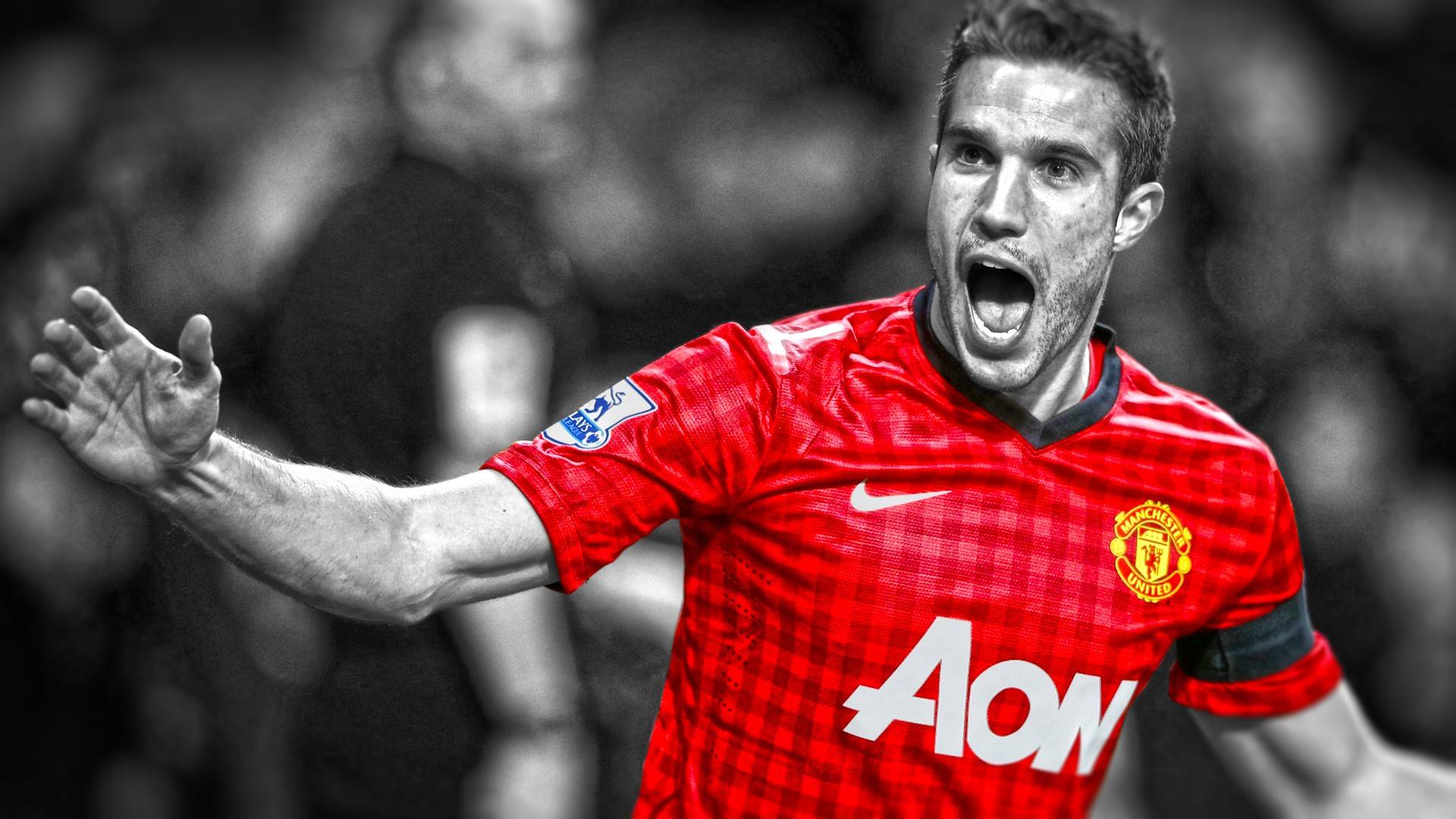 Robin Van Persie HD Wallpapers