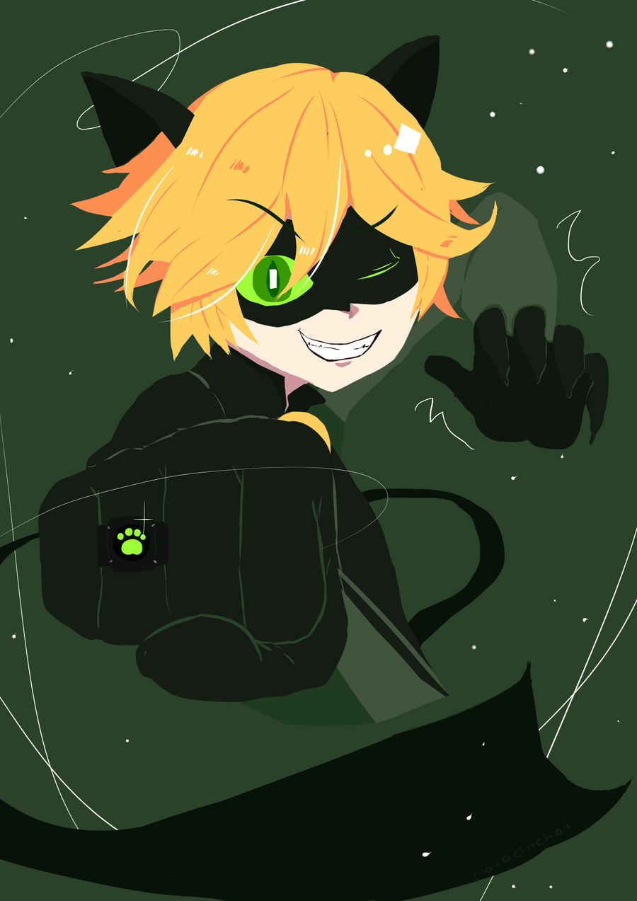 Cat Noir 2d Pictures to Pin