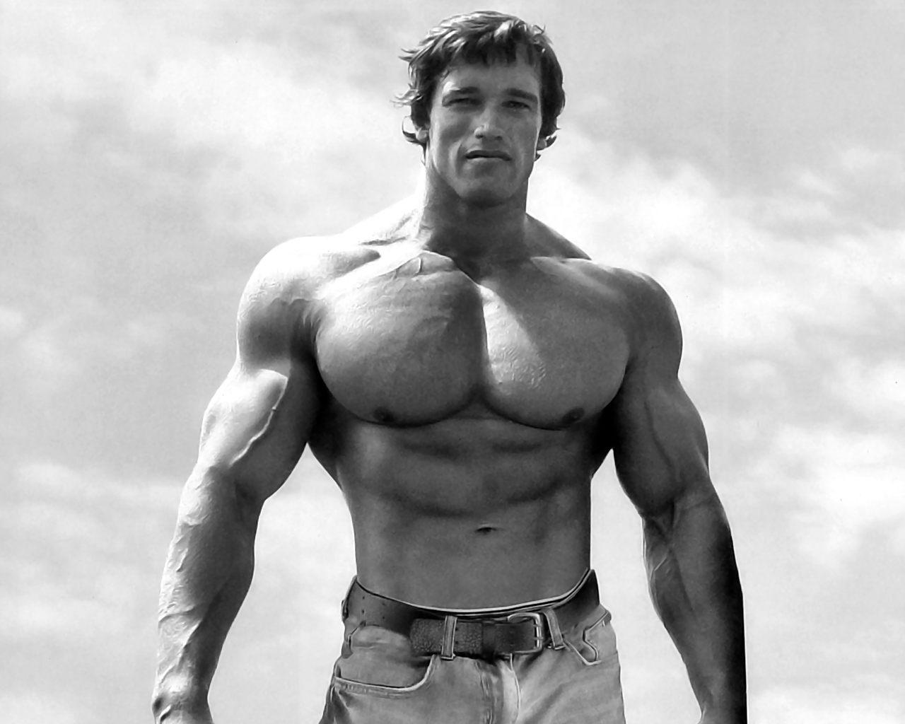 Top Arnold Schwarzenegger Wallpapers with awesome resolution