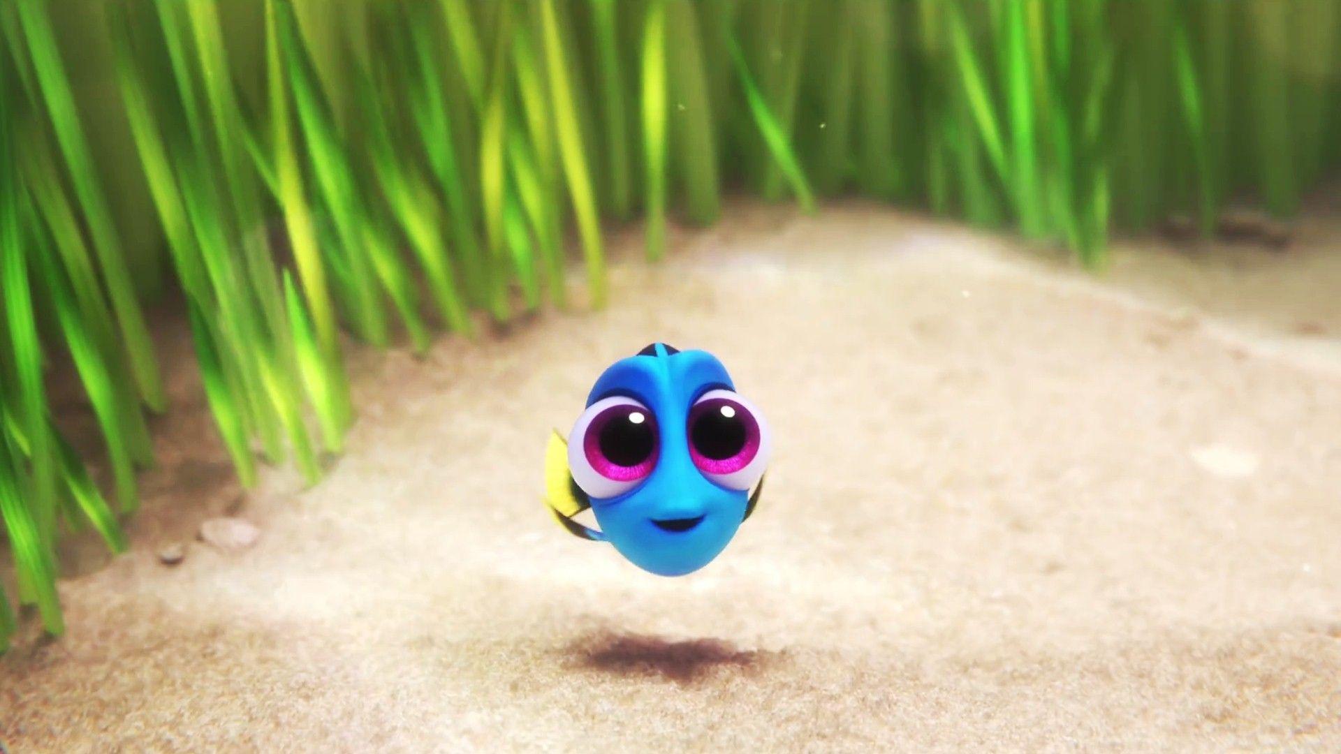 Finding Dory Wallpapers HD Backgrounds, Image, Pics, Photos Free