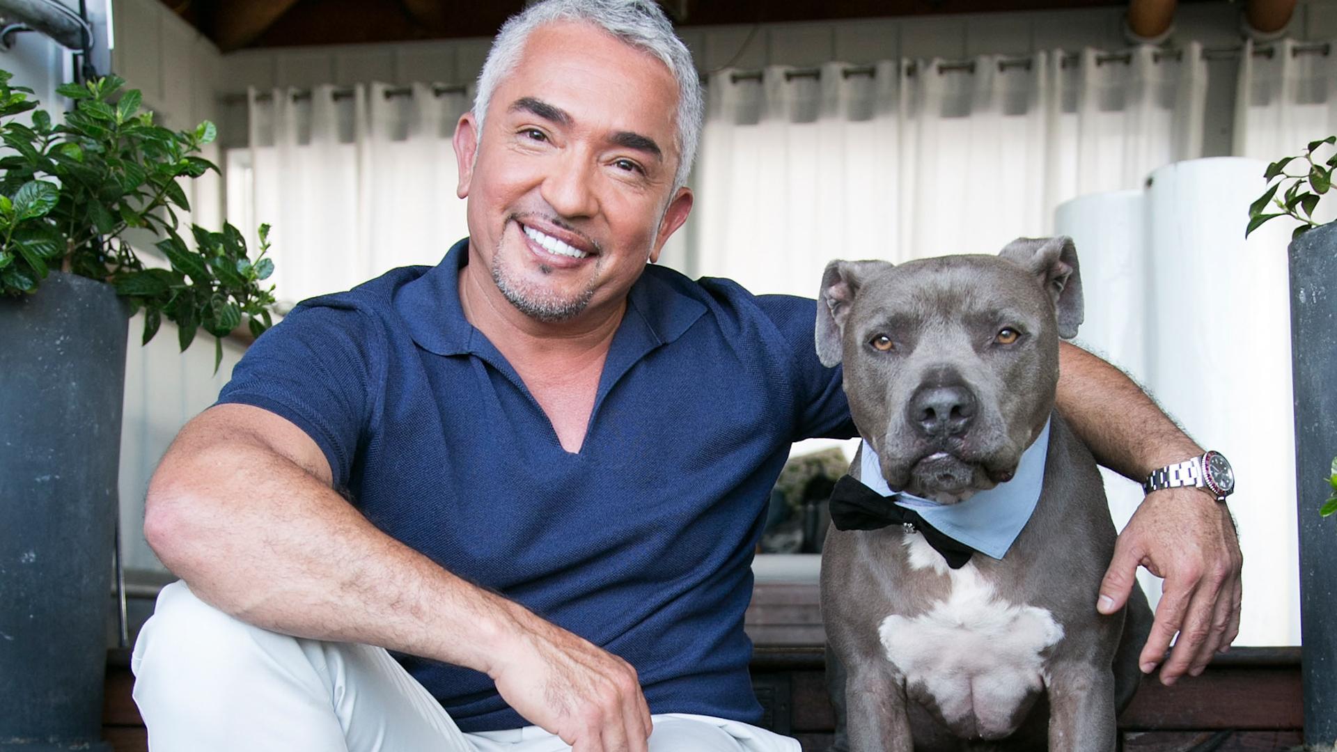 Cesar Millan’s rules when getting a new puppy