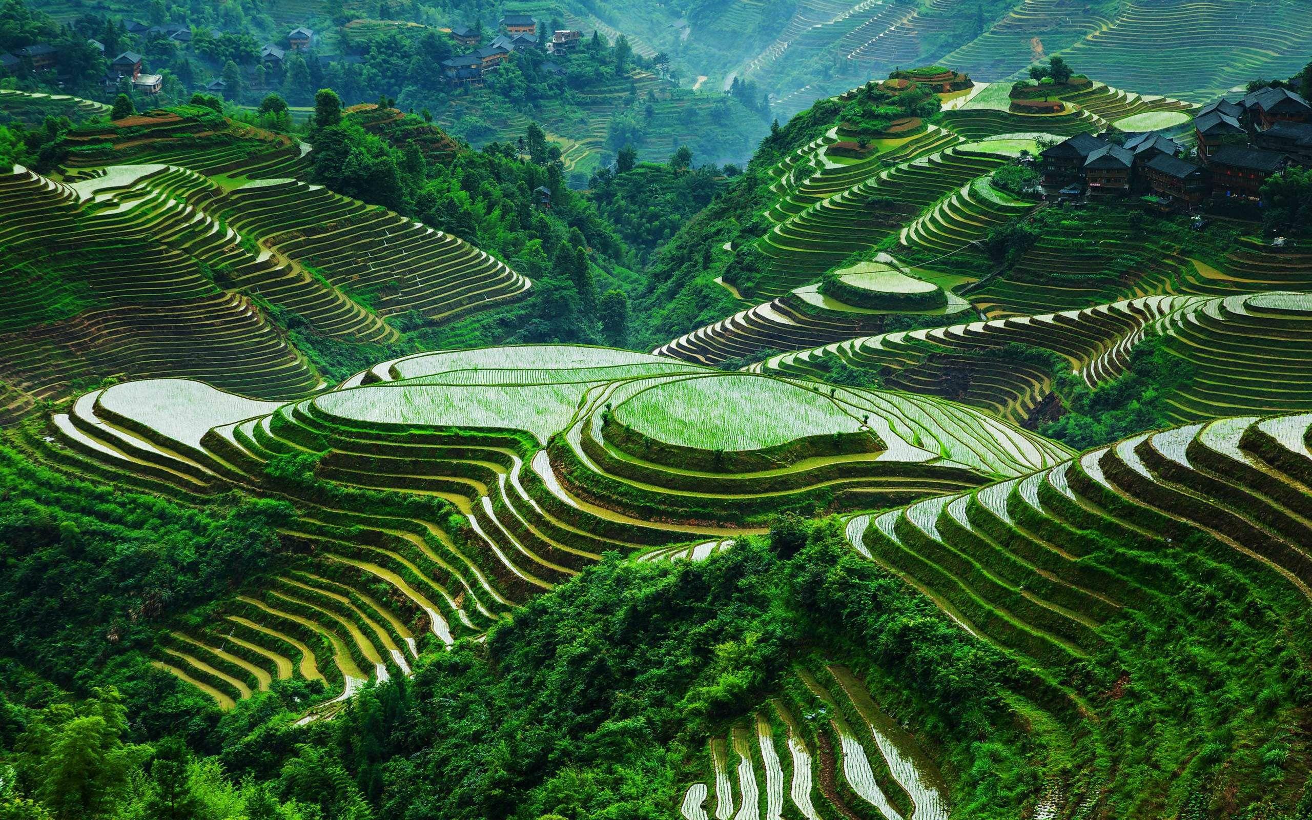 Banaue Rice Terraces Wallpapers