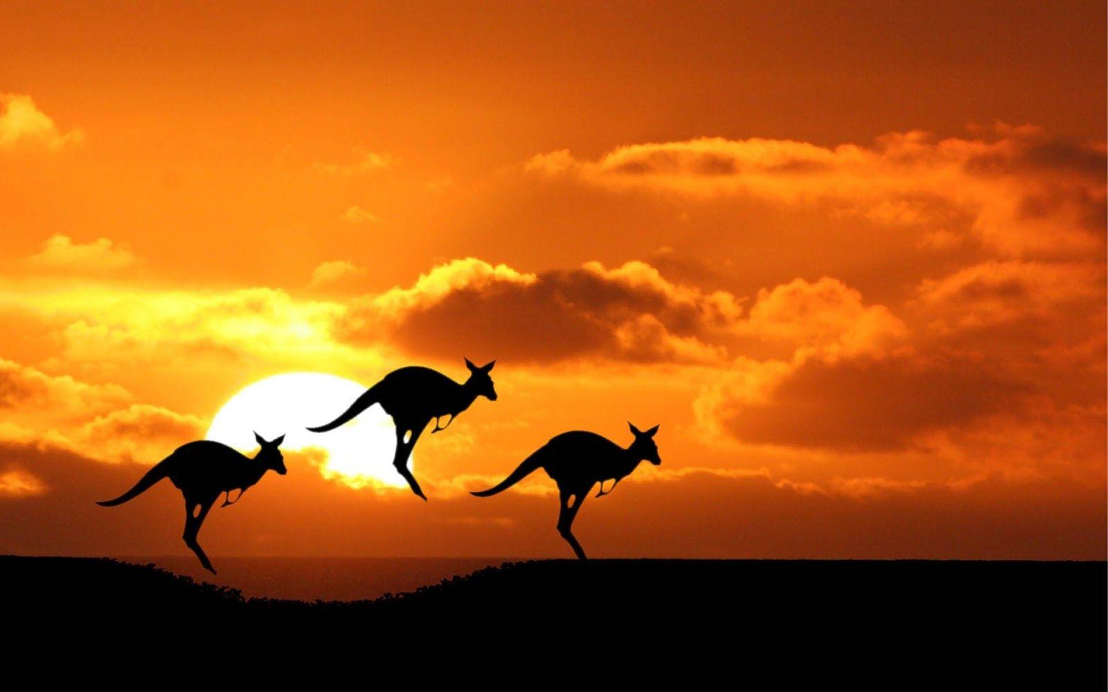 Australia Wallpaper, 28 Widescreen HD Widescreen Wallpapers of