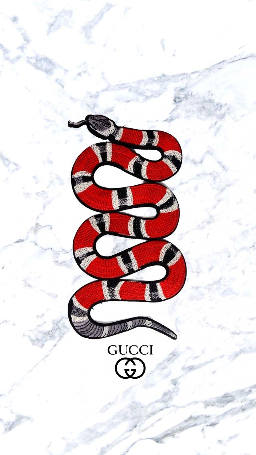 Gucci Snake Wallpapers