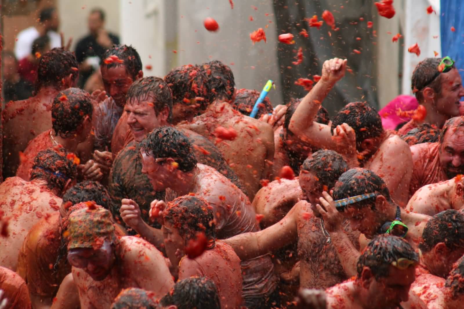 35+ Beautiful La Tomatina Festival Pictures And Photos