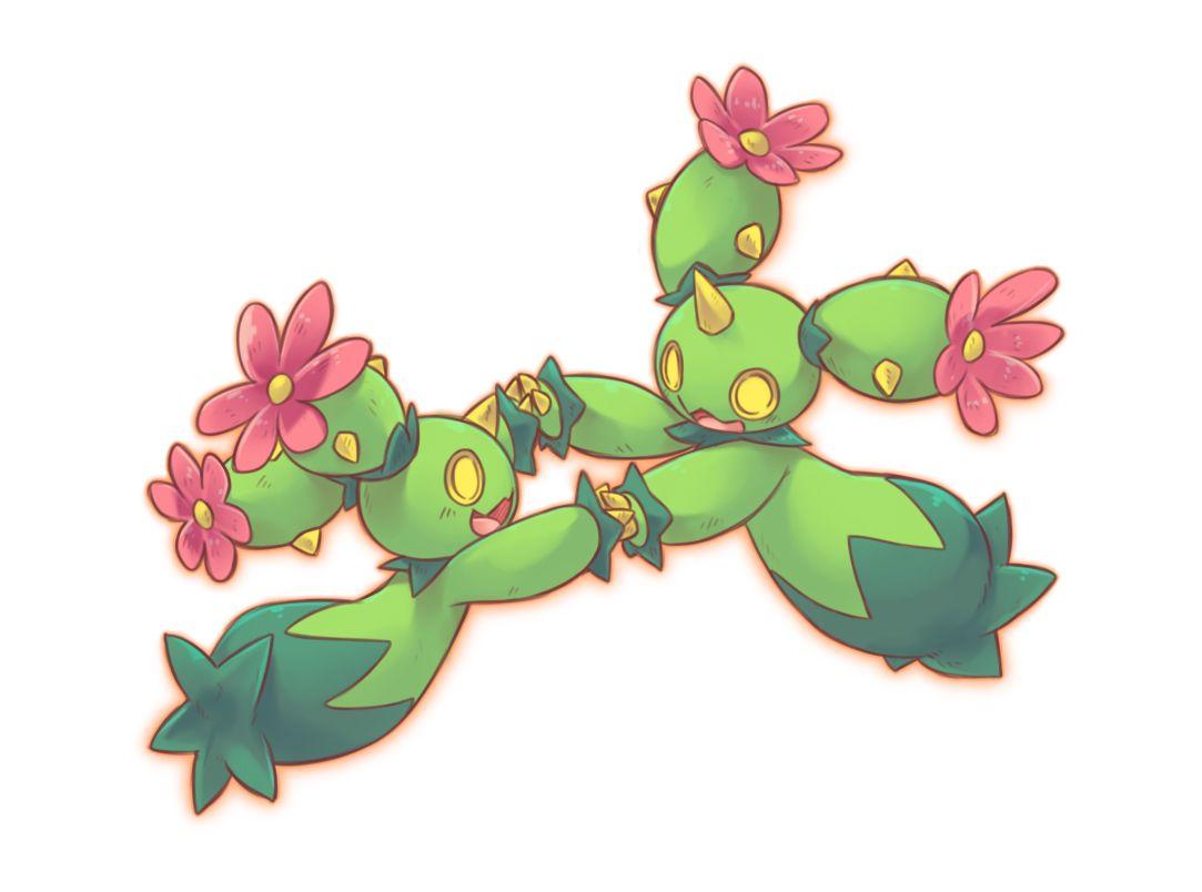 Maractus