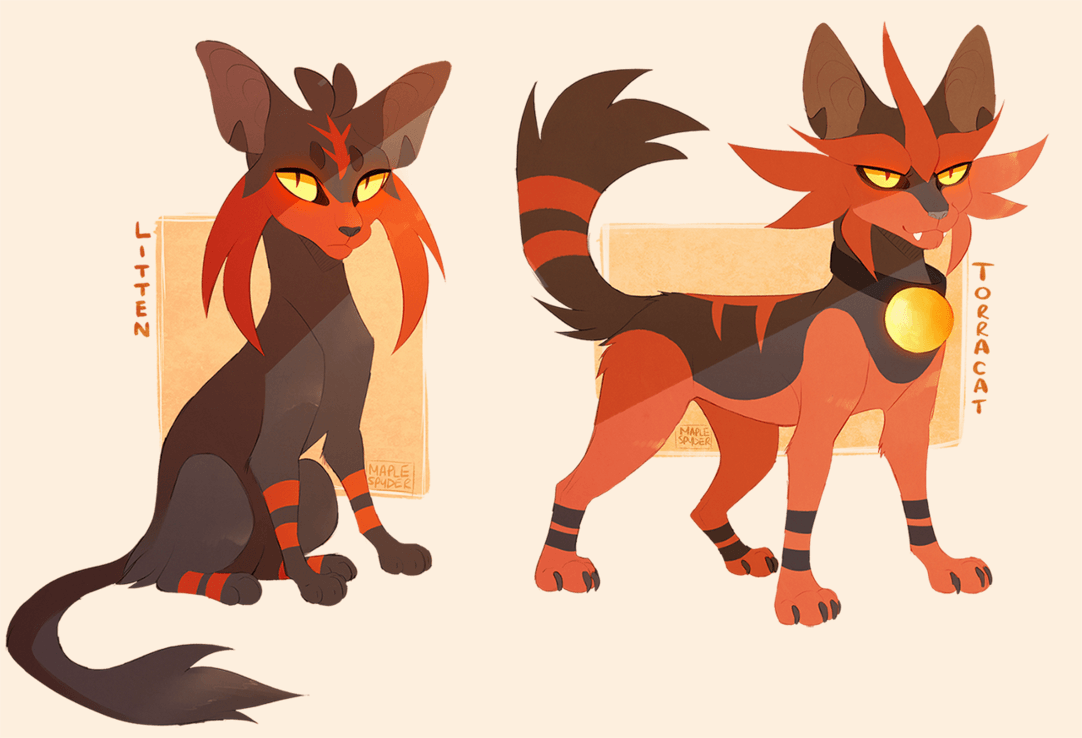 Litten and Torracat by MapleSpyder