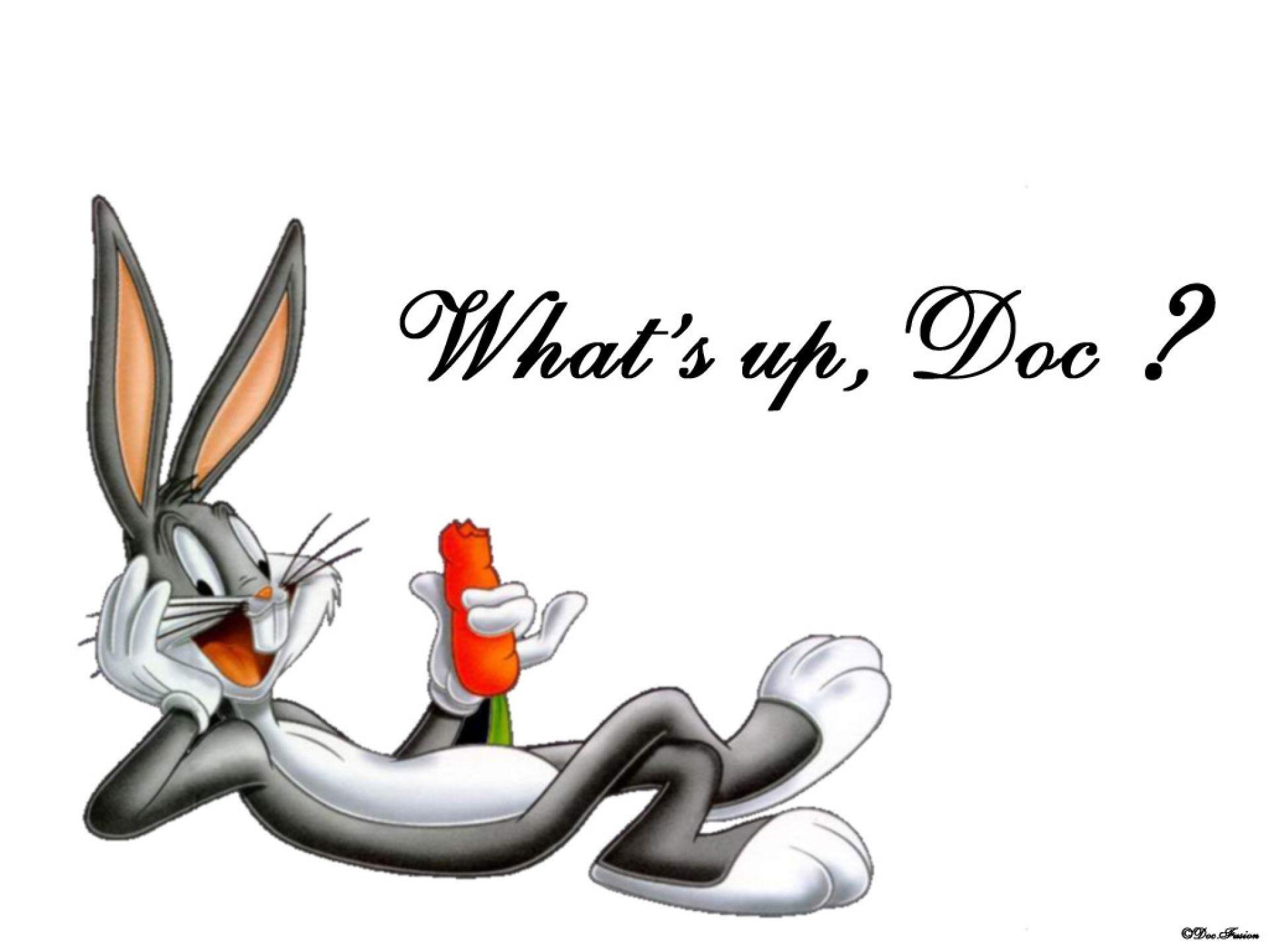 Looney Tunes Wallpapers Hd Wallpapers