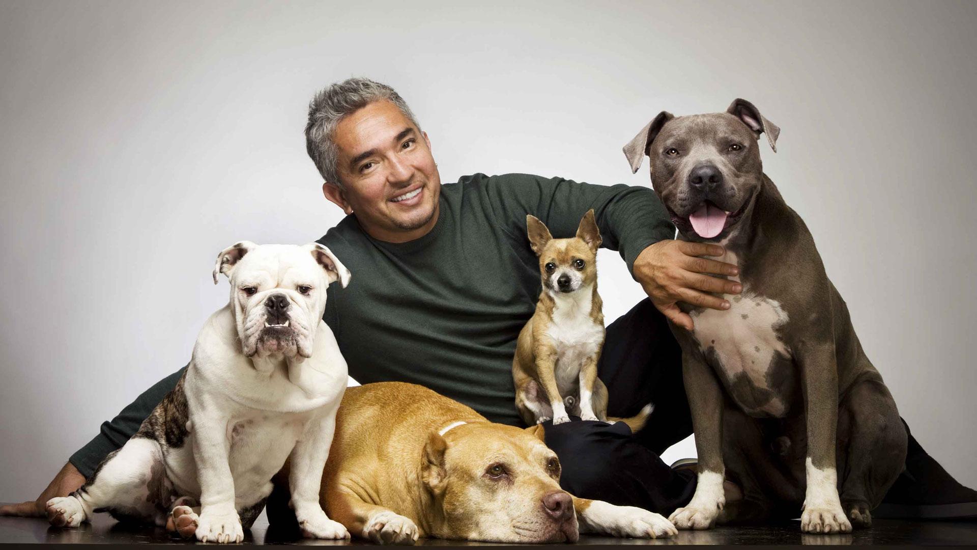 Cesar Millan: I’m not cruel to animals