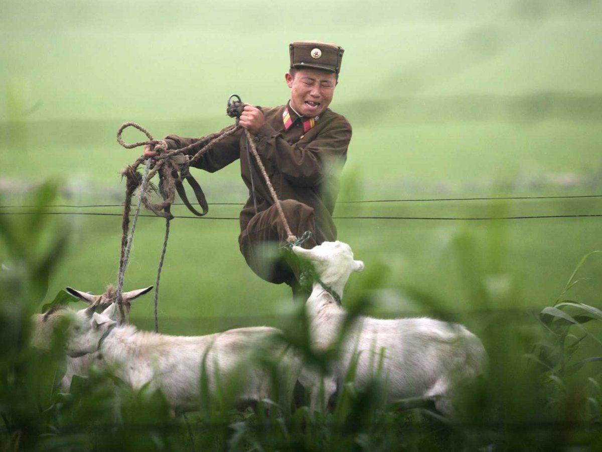 North Korea’s 2013 Summed Up In 13 Photos