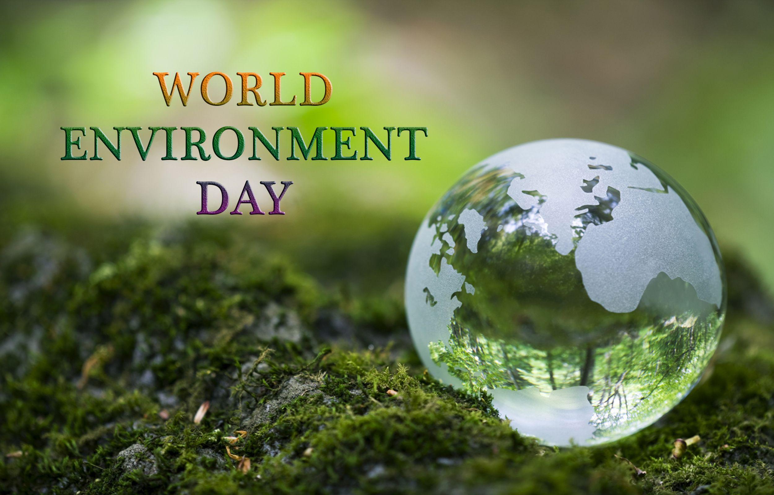 World Environment Day Protect For Wallpapers