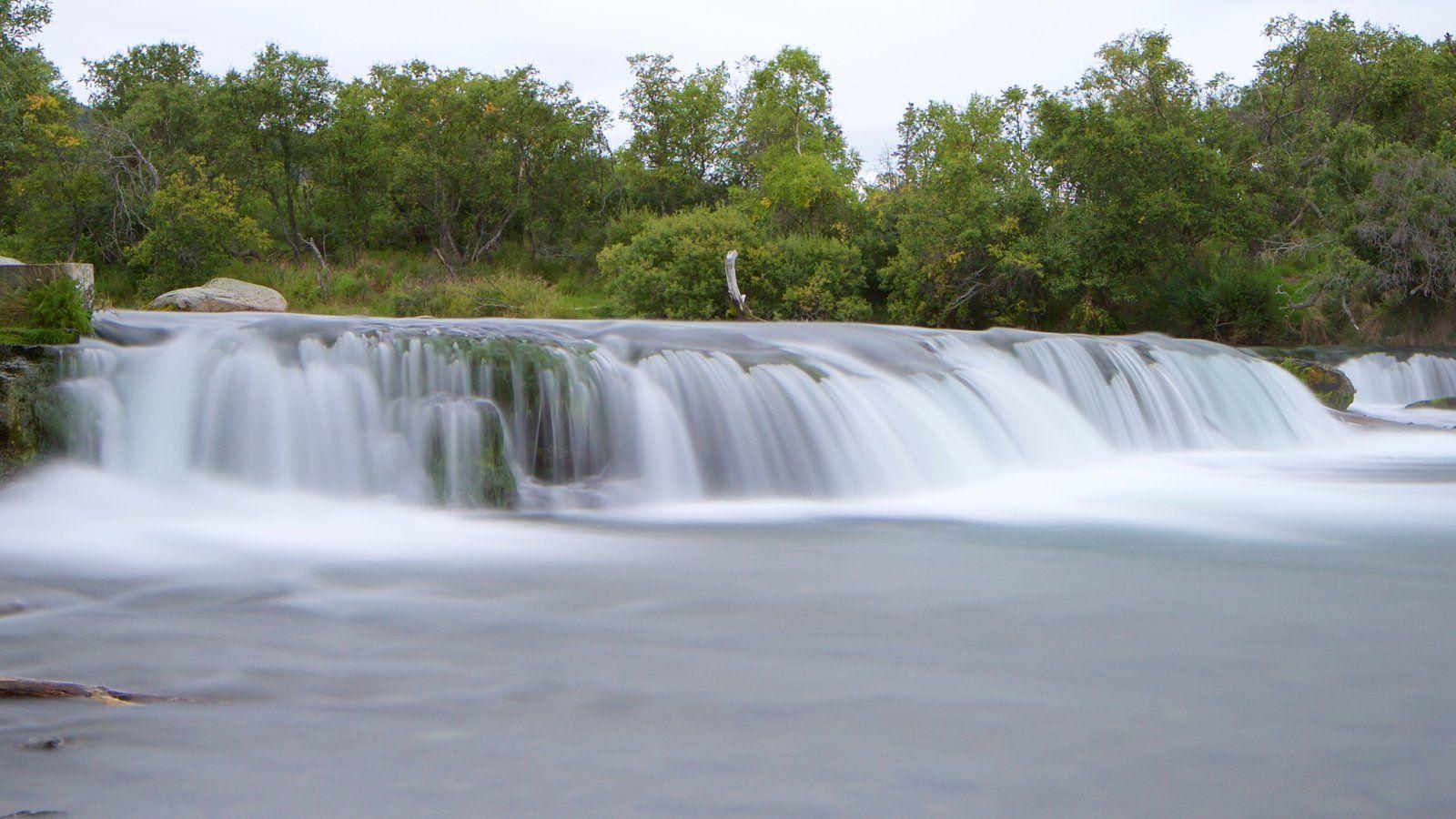 Katmai National Park and Preserve Pictures: View Photos & Image