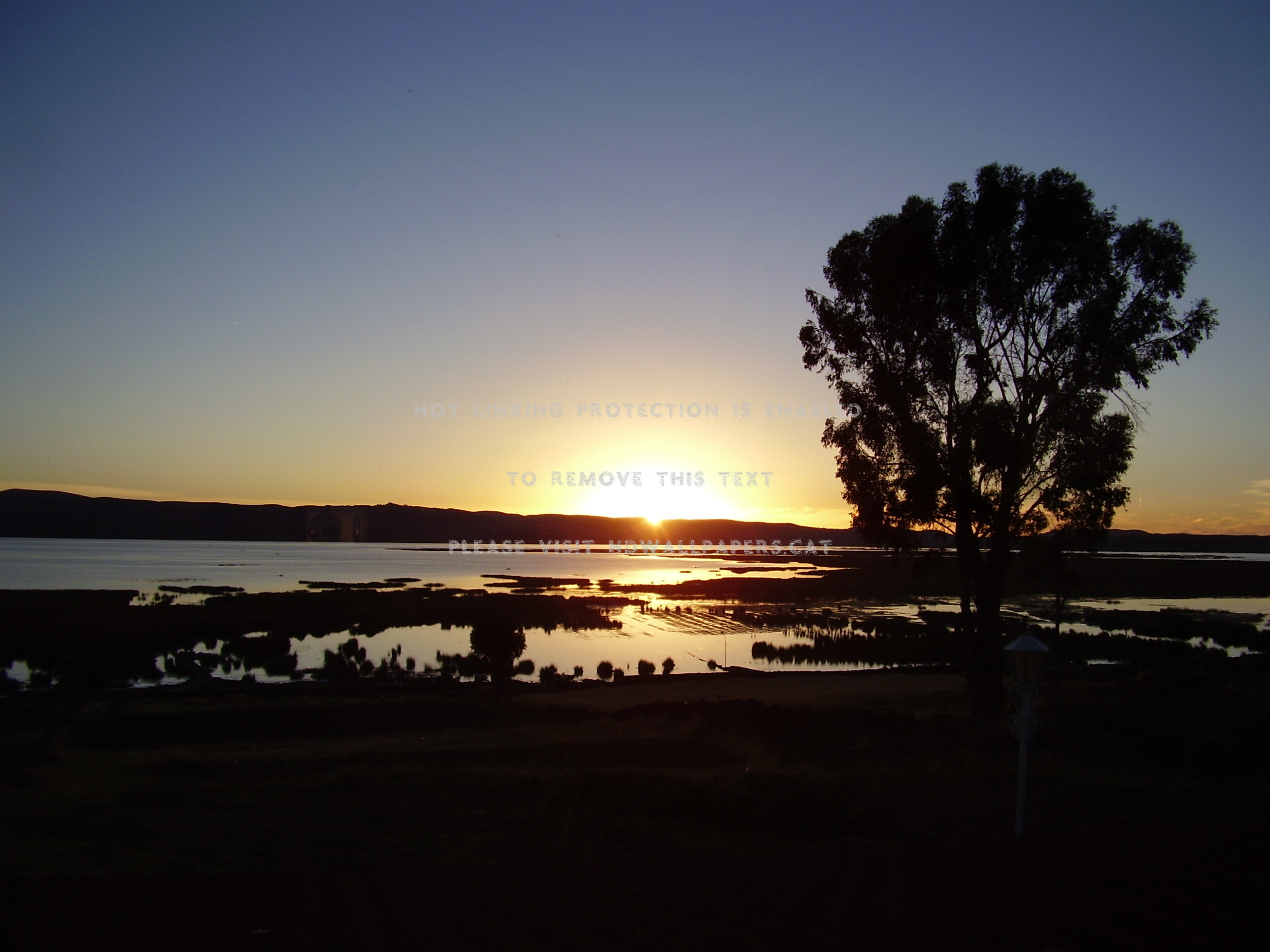 lake titicaca set rock tree grass water sun