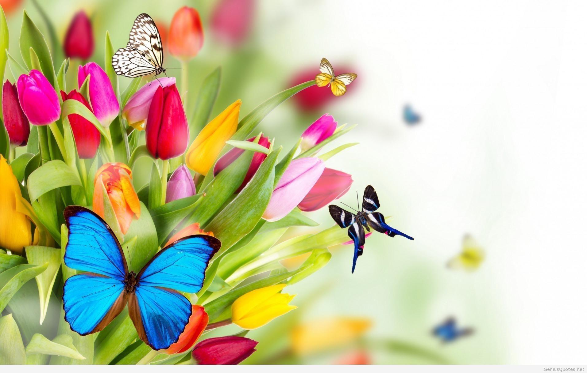 HD Spring Wallpapers