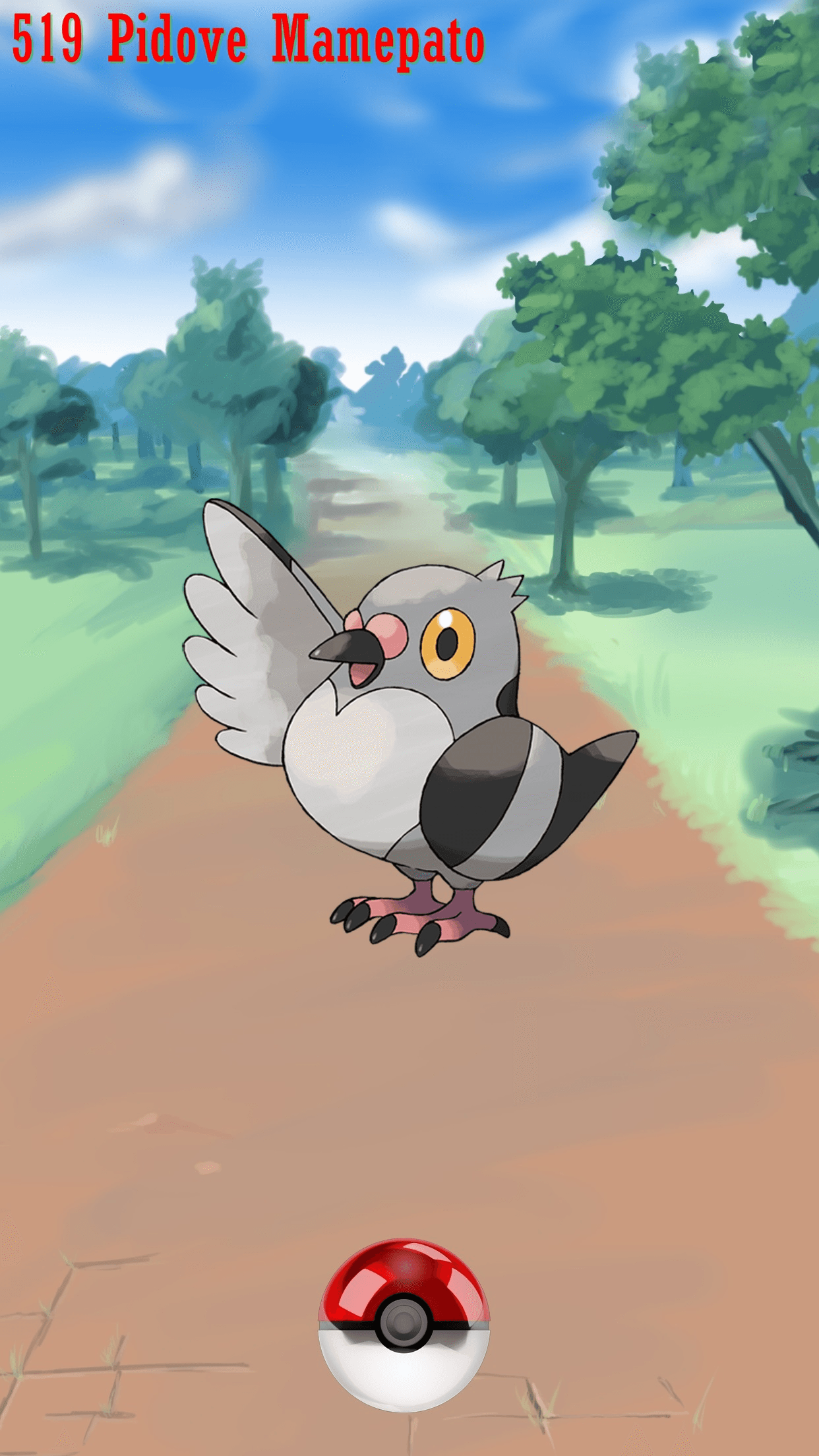 519 Street Pokeball Pidove Mamepato