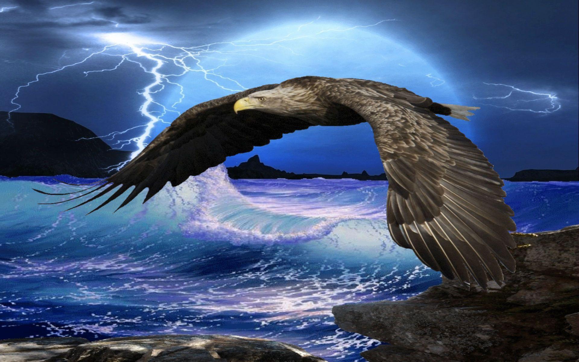 Flying Eagle HD Wallpapers