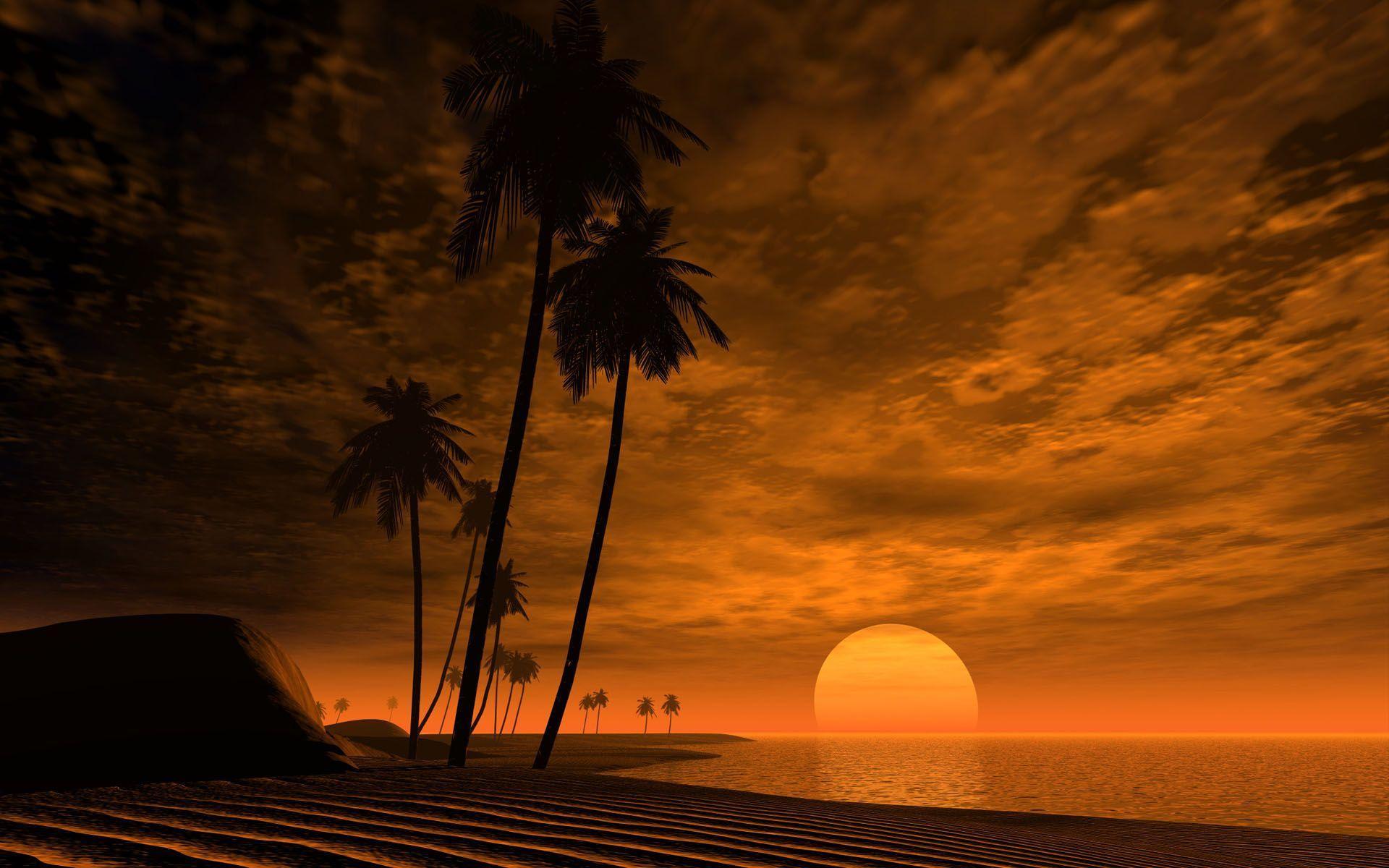 African Sunset Wallpapers