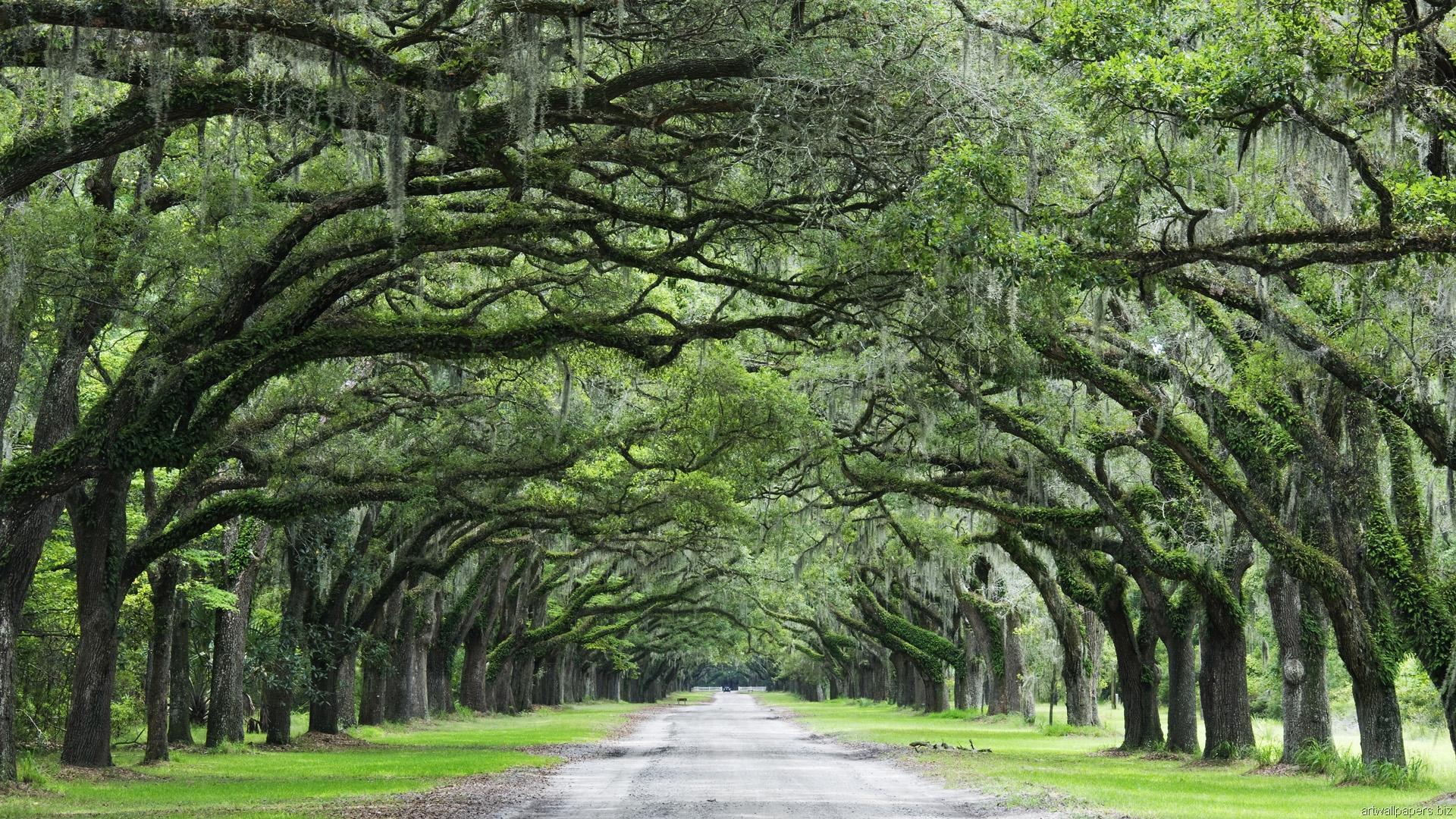 Savannah GA Desktop Wallpapers