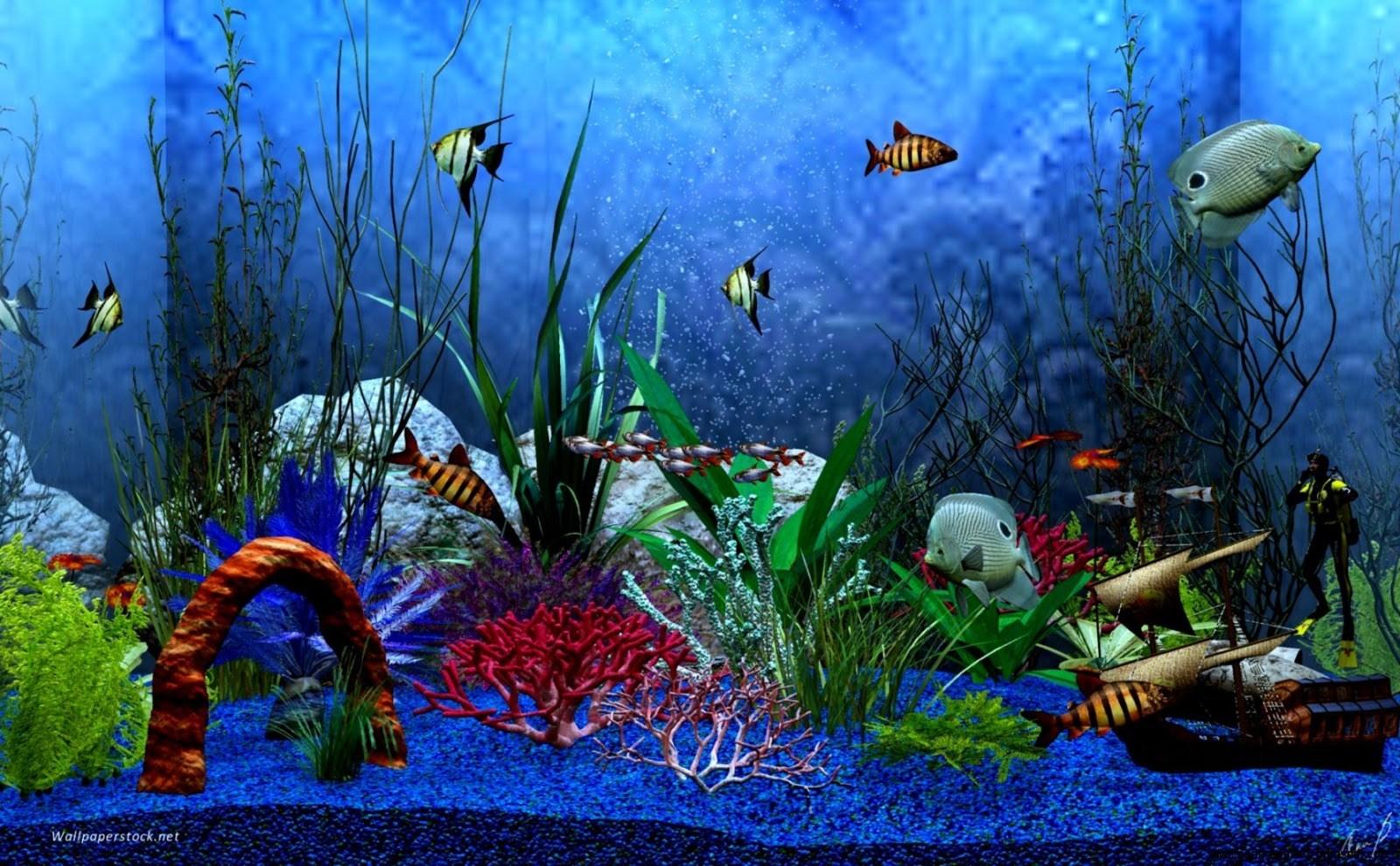 Lovely Free Download Animated Aquarium Desktop Wallpapers for Windows