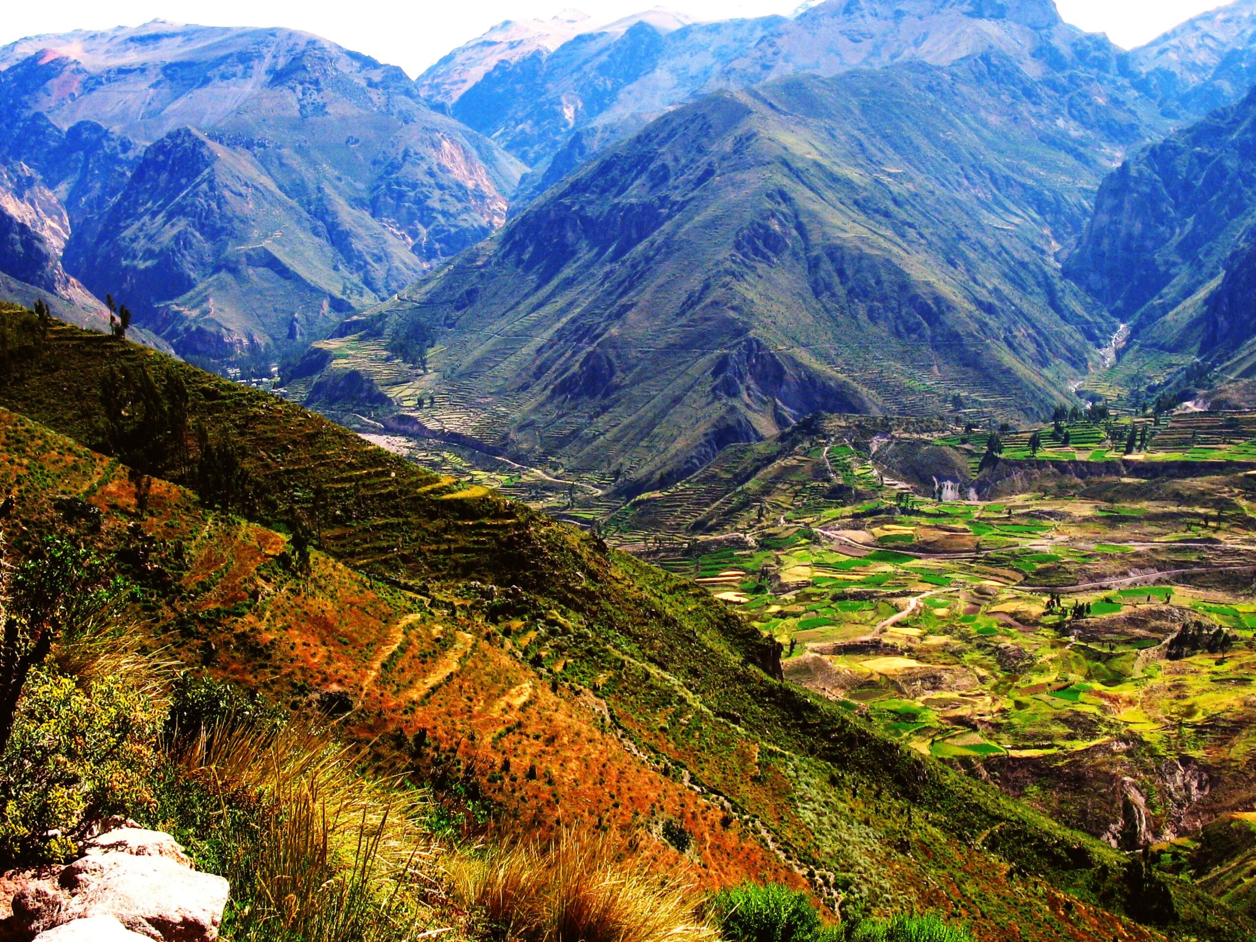 Colca Canyon Full Day :: Peru Breathtaking Trips :: Peru Tours and