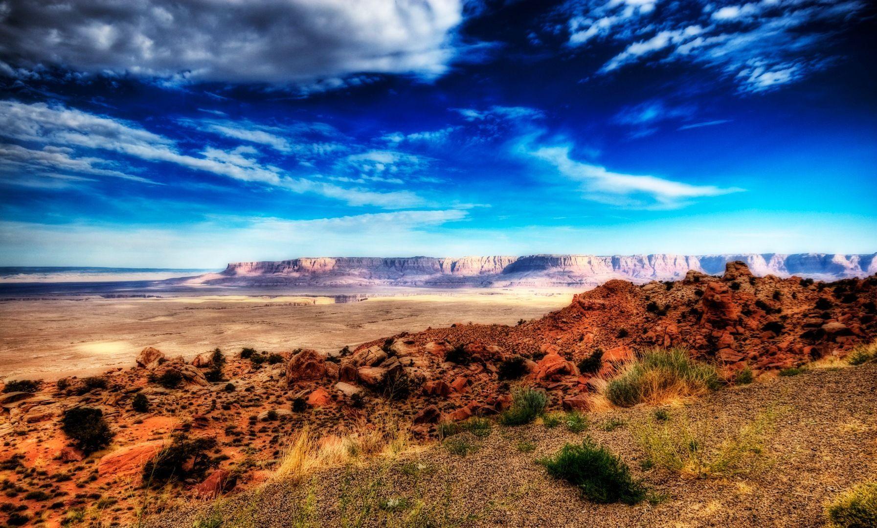 Petrified Forest National Park