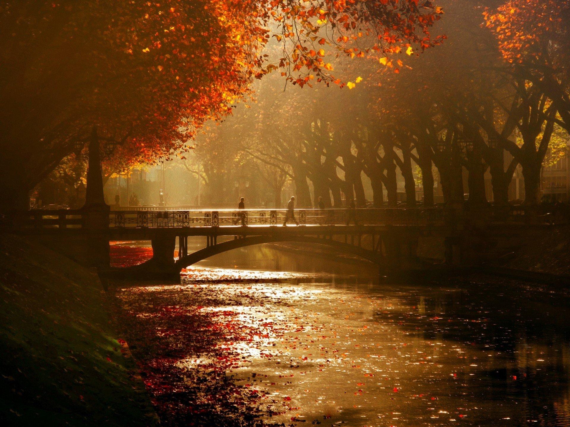 königsallee bridge dusseldorf HD wallpapers